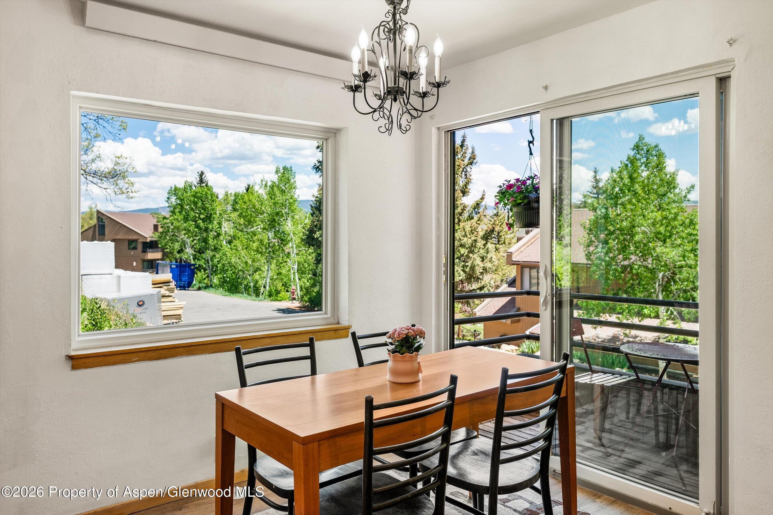 35 Lower Woodbridge Road U173, Snowmass Village, CO 81615 - Photo 11