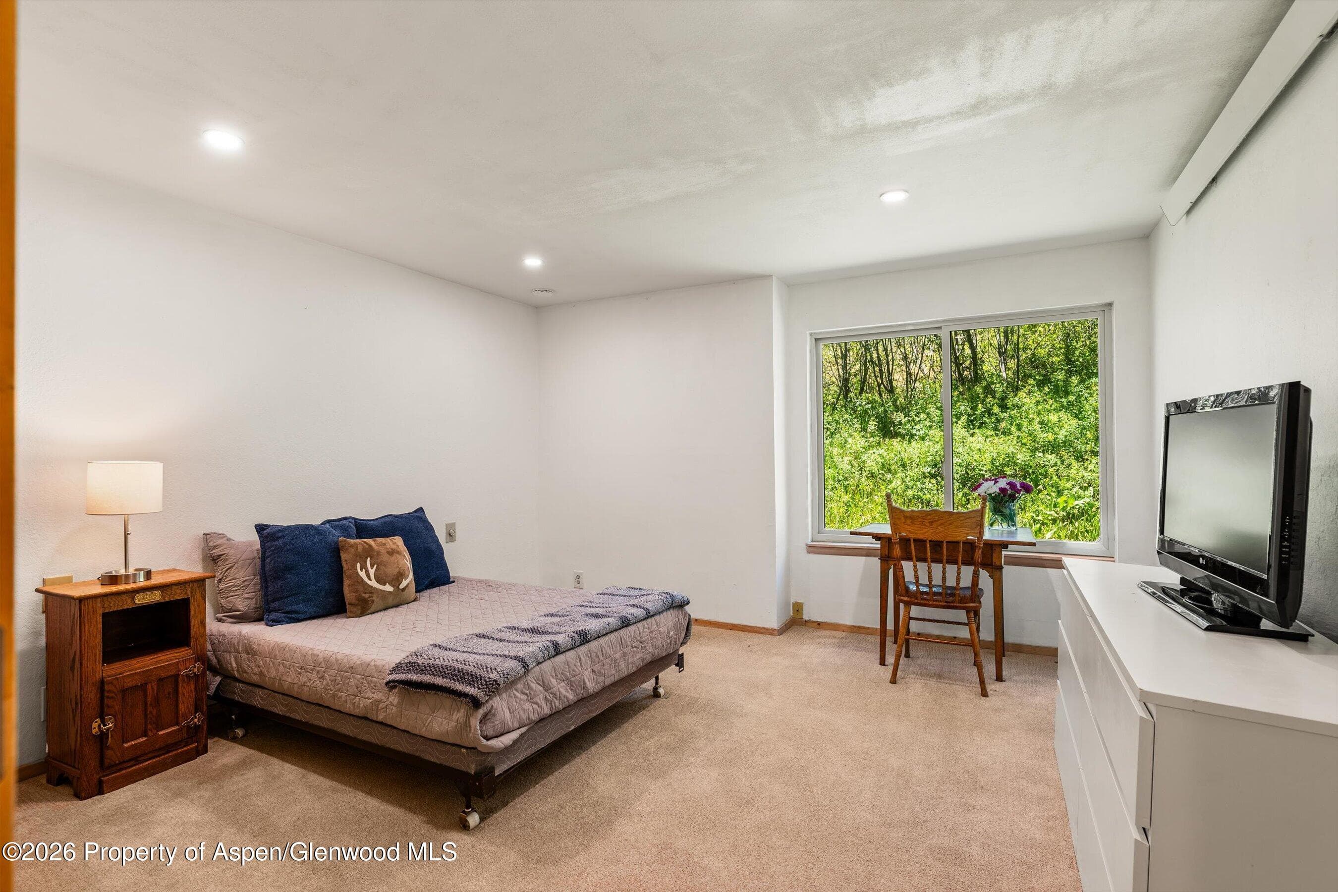 35 Lower Woodbridge Road U173, Snowmass Village, CO 81615 - Photo 18
