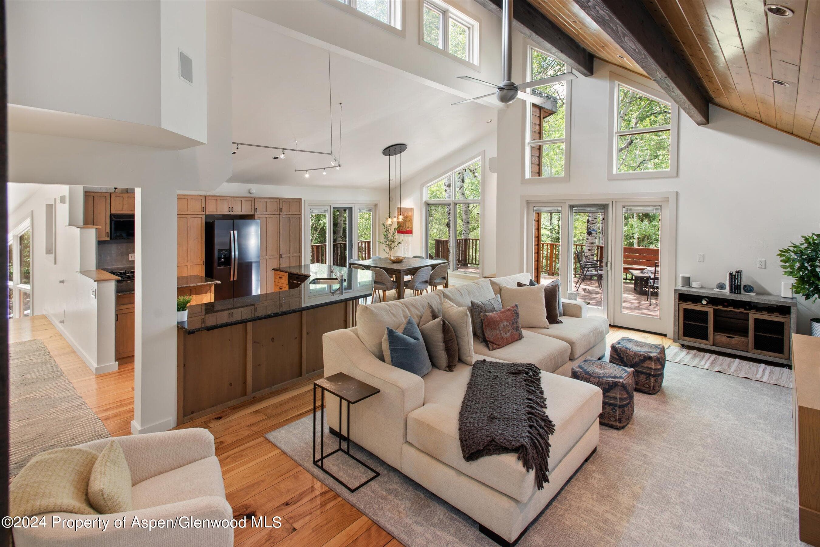 314 Mountain Laurel Drive, Aspen, CO 81611 - Photo 4