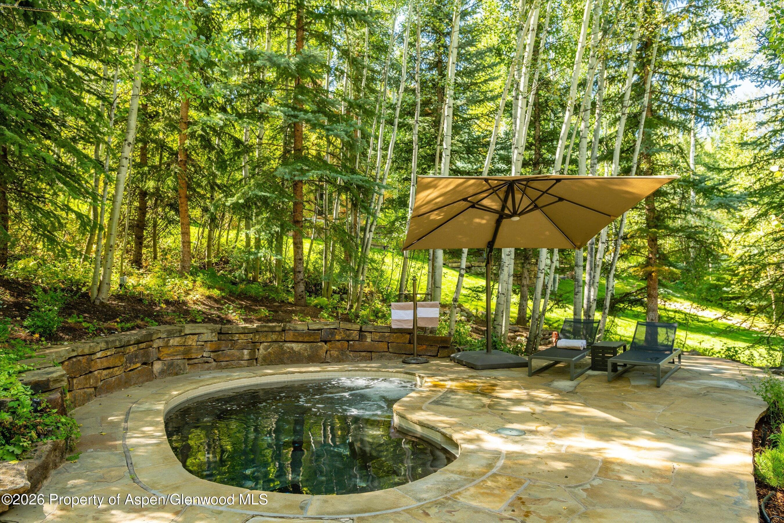 163 Spruce Ridge Lane, Snowmass Village, CO 81615 - Photo 39