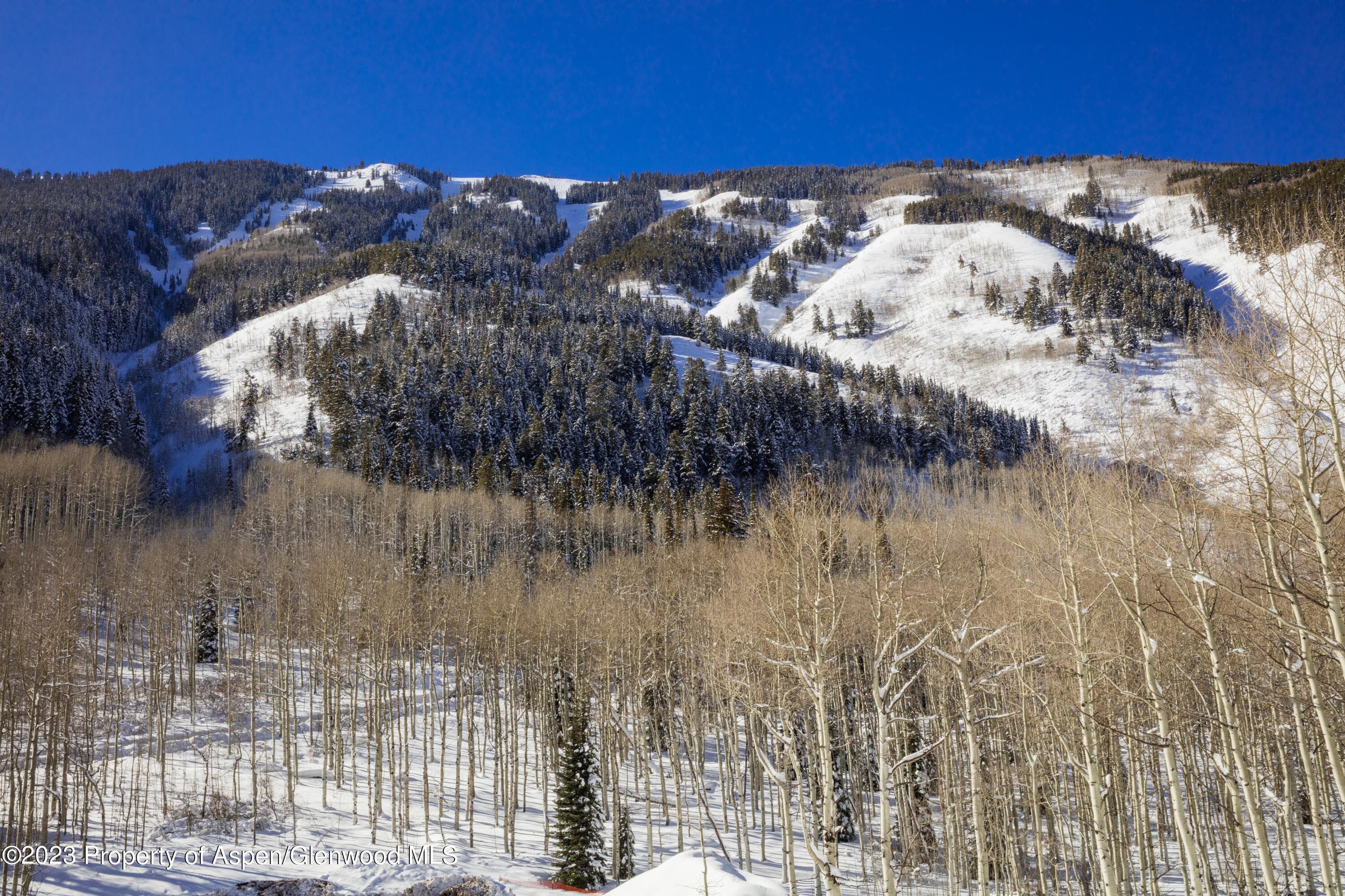 640 S Hayden Road, Aspen, CO 81611 - Photo 28