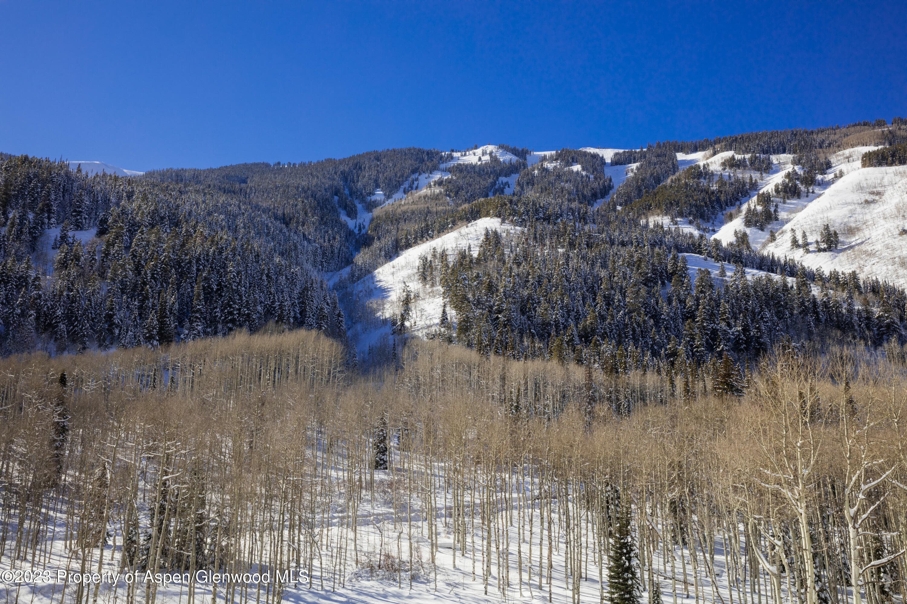 640 S Hayden Road, Aspen, CO 81611 - Photo 31