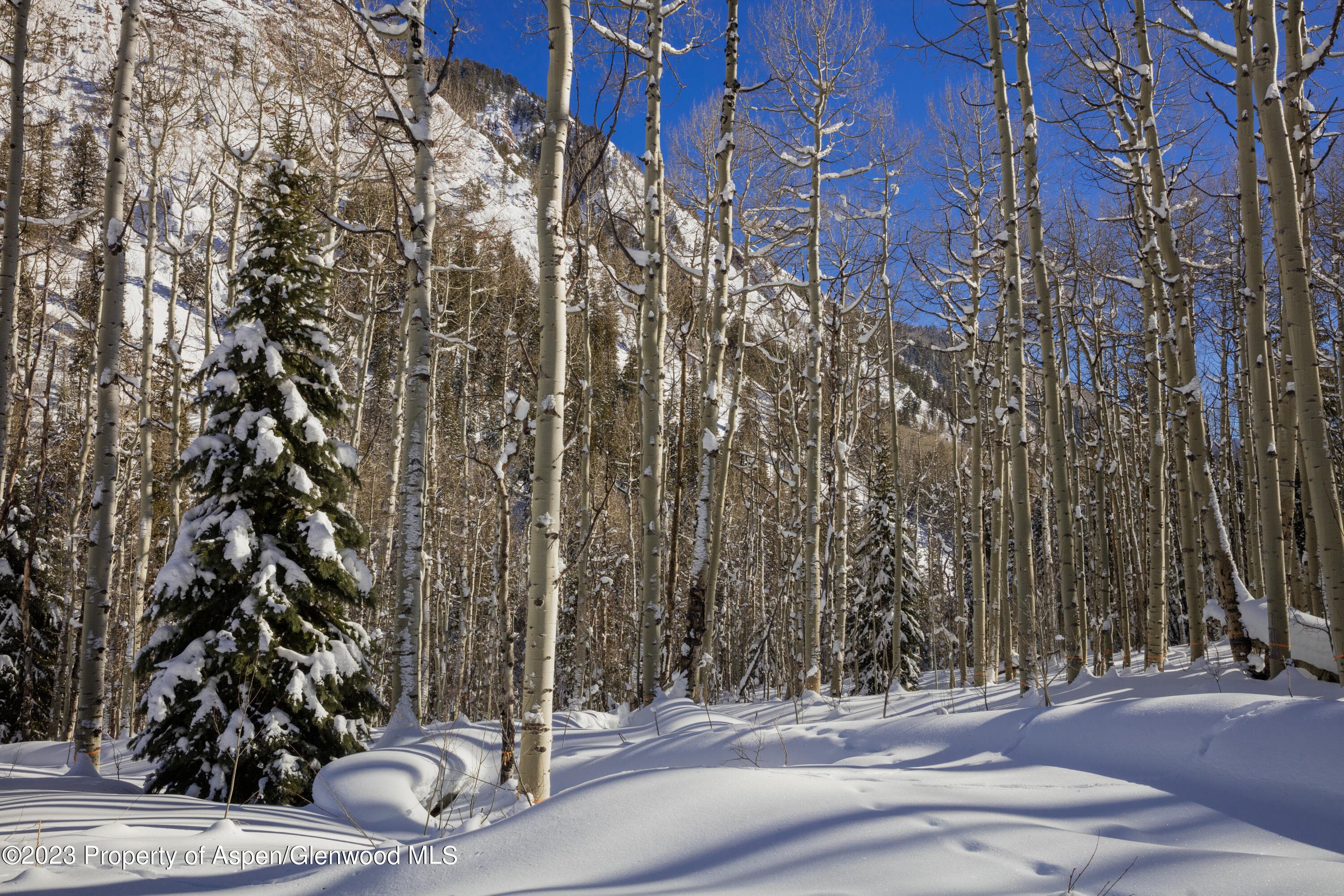 640 S Hayden Road, Aspen, CO 81611 - Photo 35