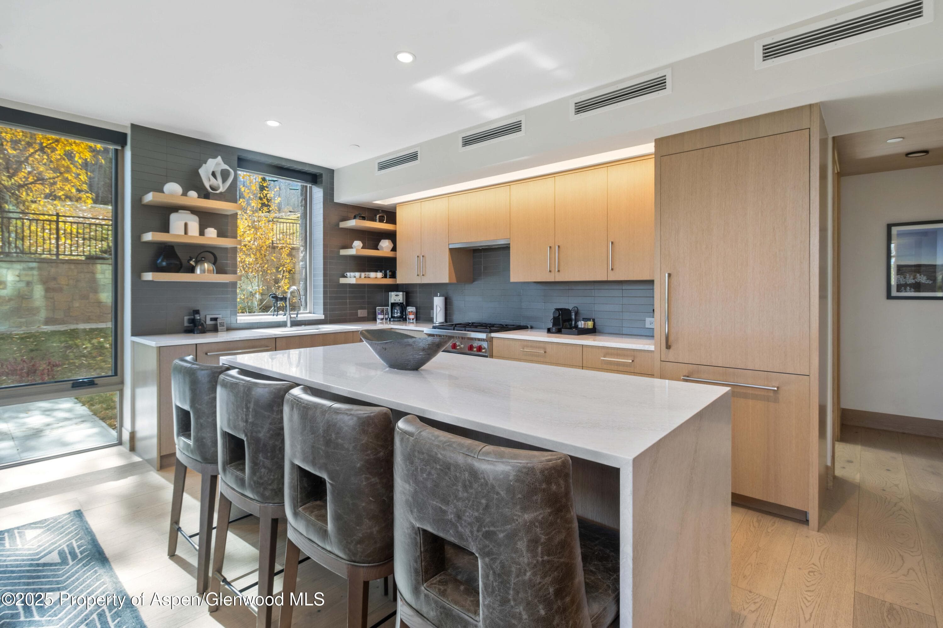 130 Wood Road 151, Snowmass Village, CO 81615 - Photo 3