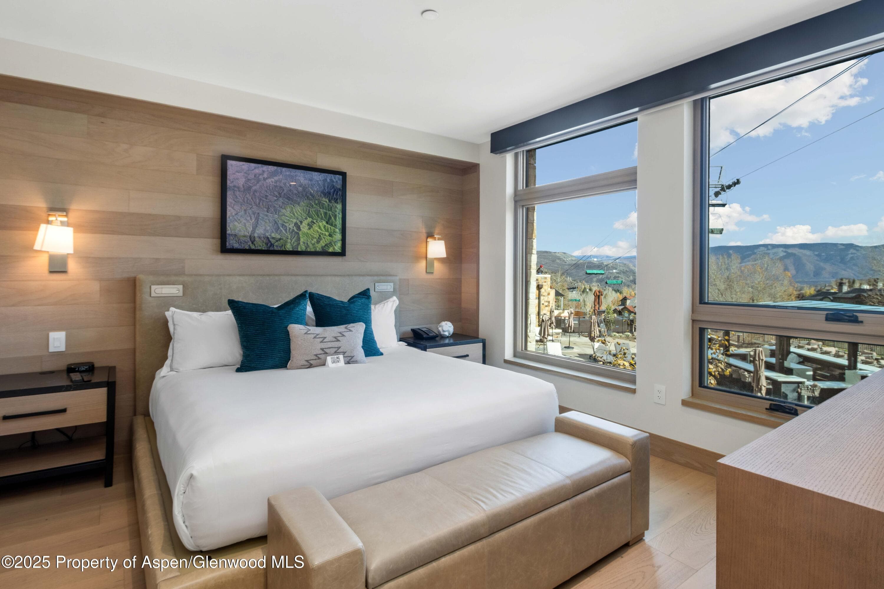 130 Wood Road 151, Snowmass Village, CO 81615 - Photo 10