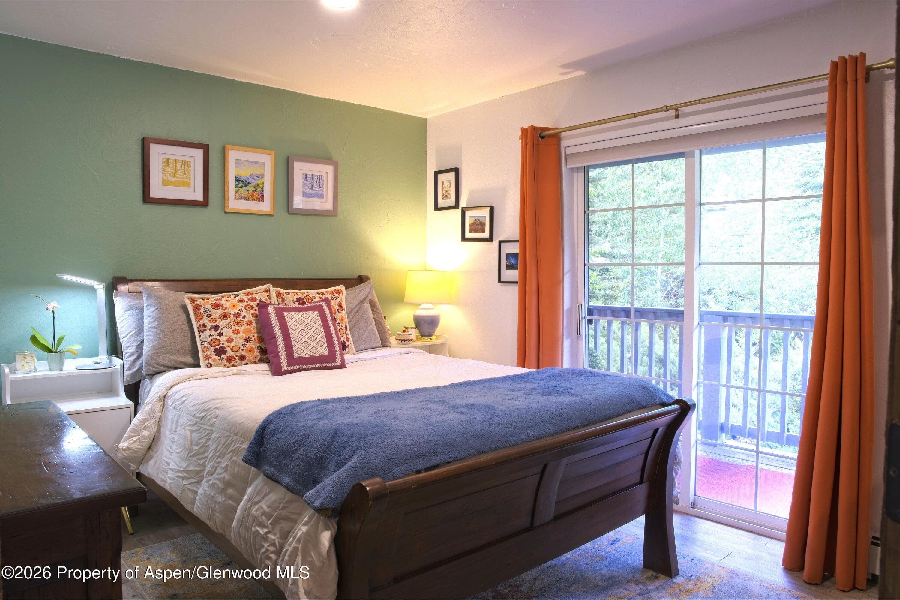 7204 Elk Lane, Basalt, CO 81621 - Photo 8