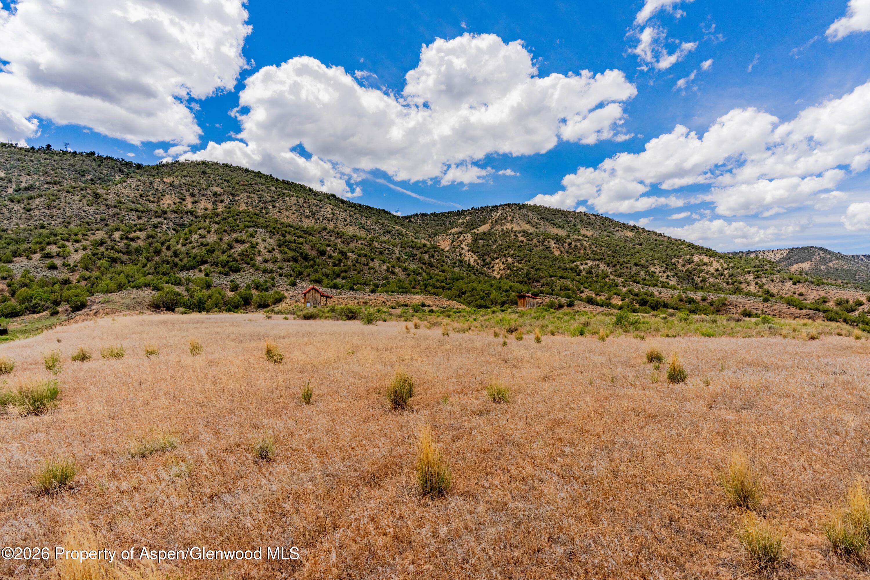 799 Buckhorn Drive, Rifle, CO 81650 - Photo 11