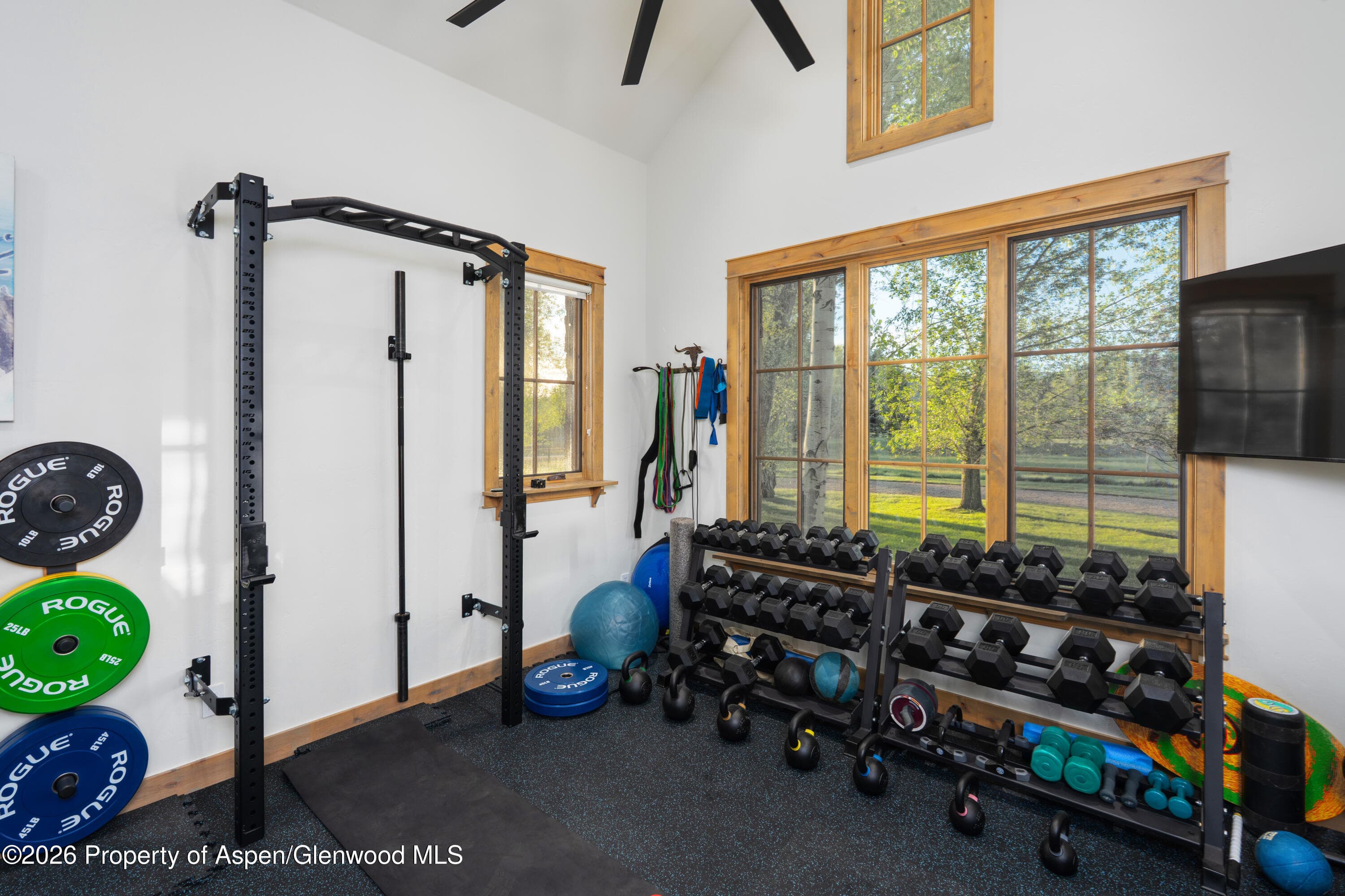 14 Silver Spruce Drive, Carbondale, CO 81623 - Photo 17