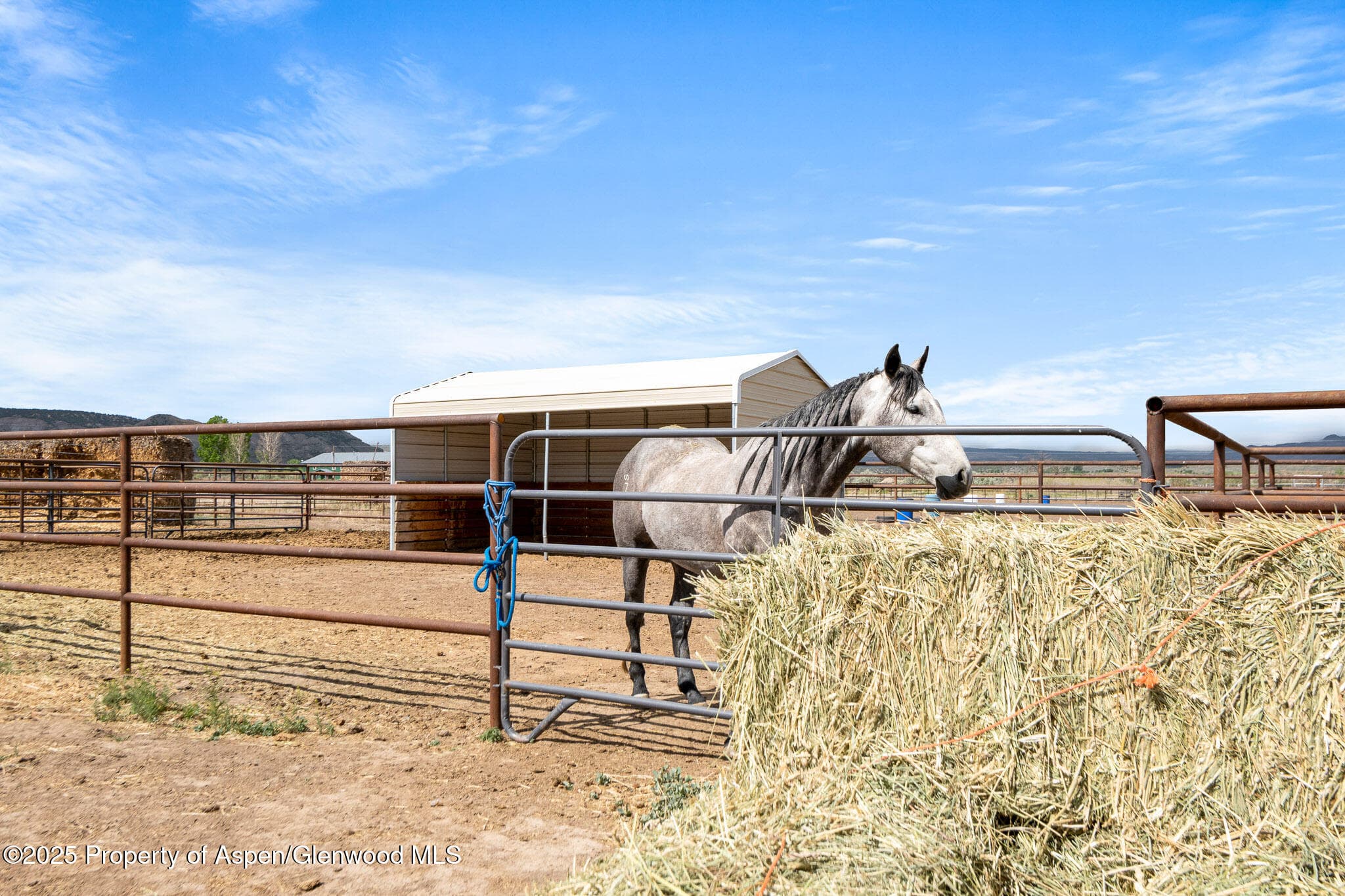 2022 45 Road, De Beque, CO 81630 - Photo 21
