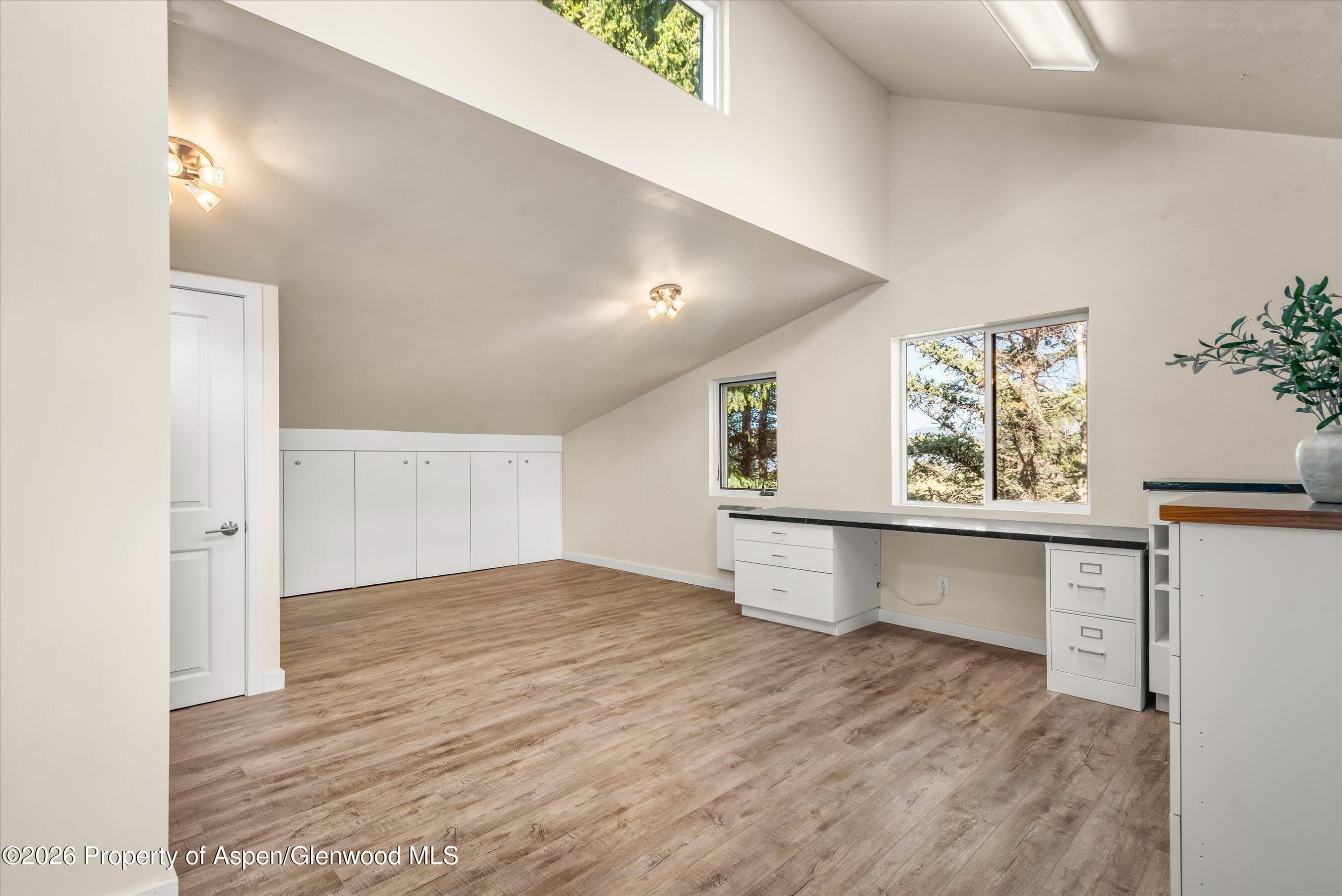 1164 Kings Row Street, Carbondale, CO 81623 - Photo 38