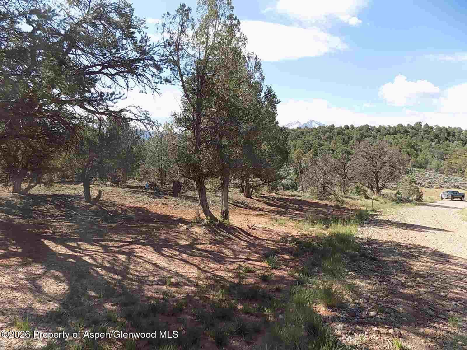 Tbd County Road 107, Carbondale, CO 81623 - Photo 4