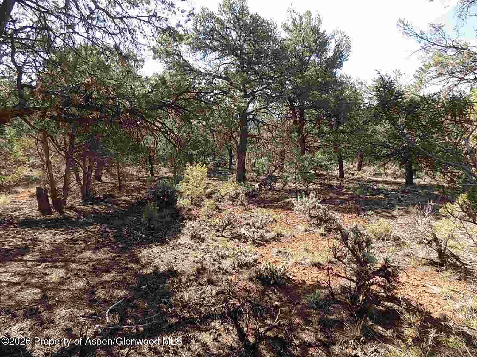 Tbd County Road 107, Carbondale, CO 81623 - Photo 7