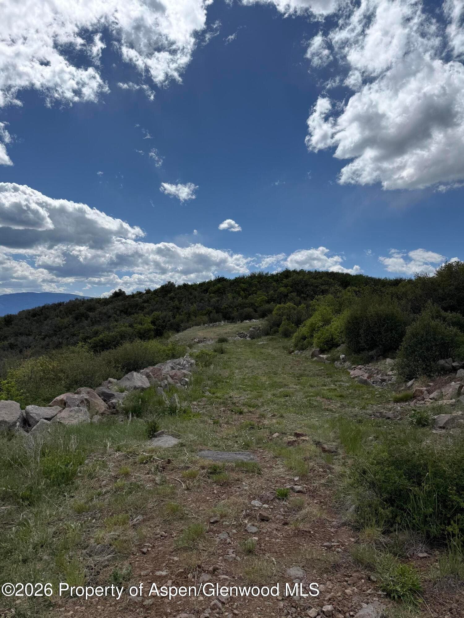 Lot 12 Homestead Estates, Glenwood Springs, CO 81601 - Photo 3