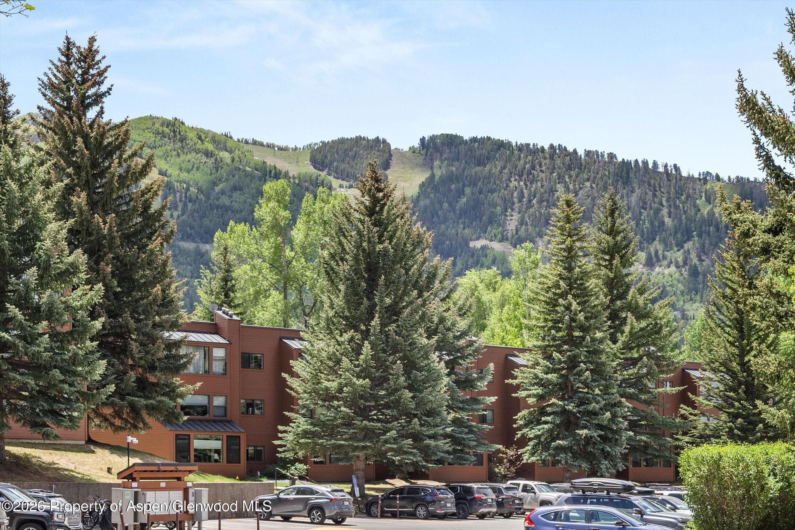 941 Vine Street, Aspen, CO 81611 - Photo 10