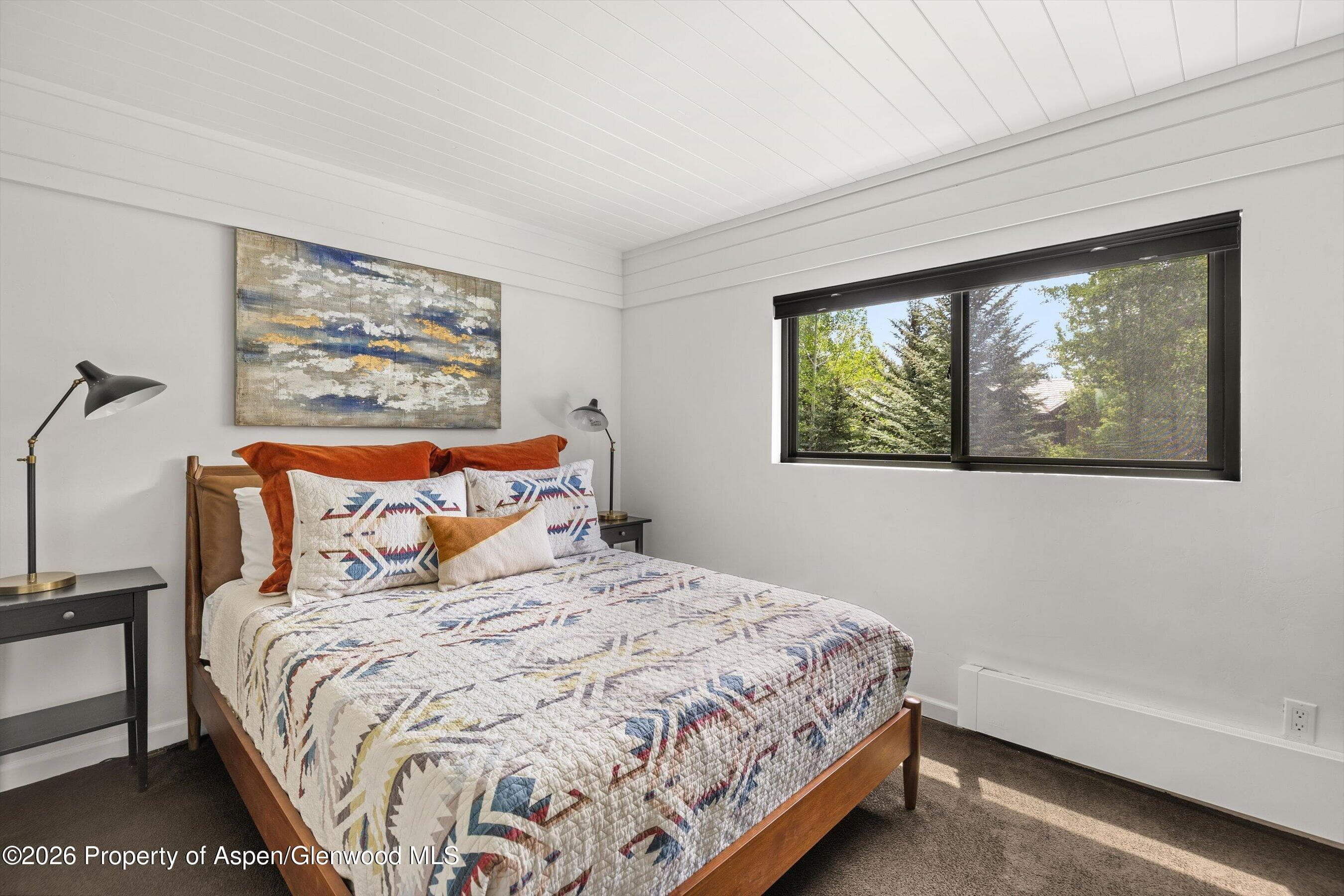 941 Vine Street, Aspen, CO 81611 - Photo 7
