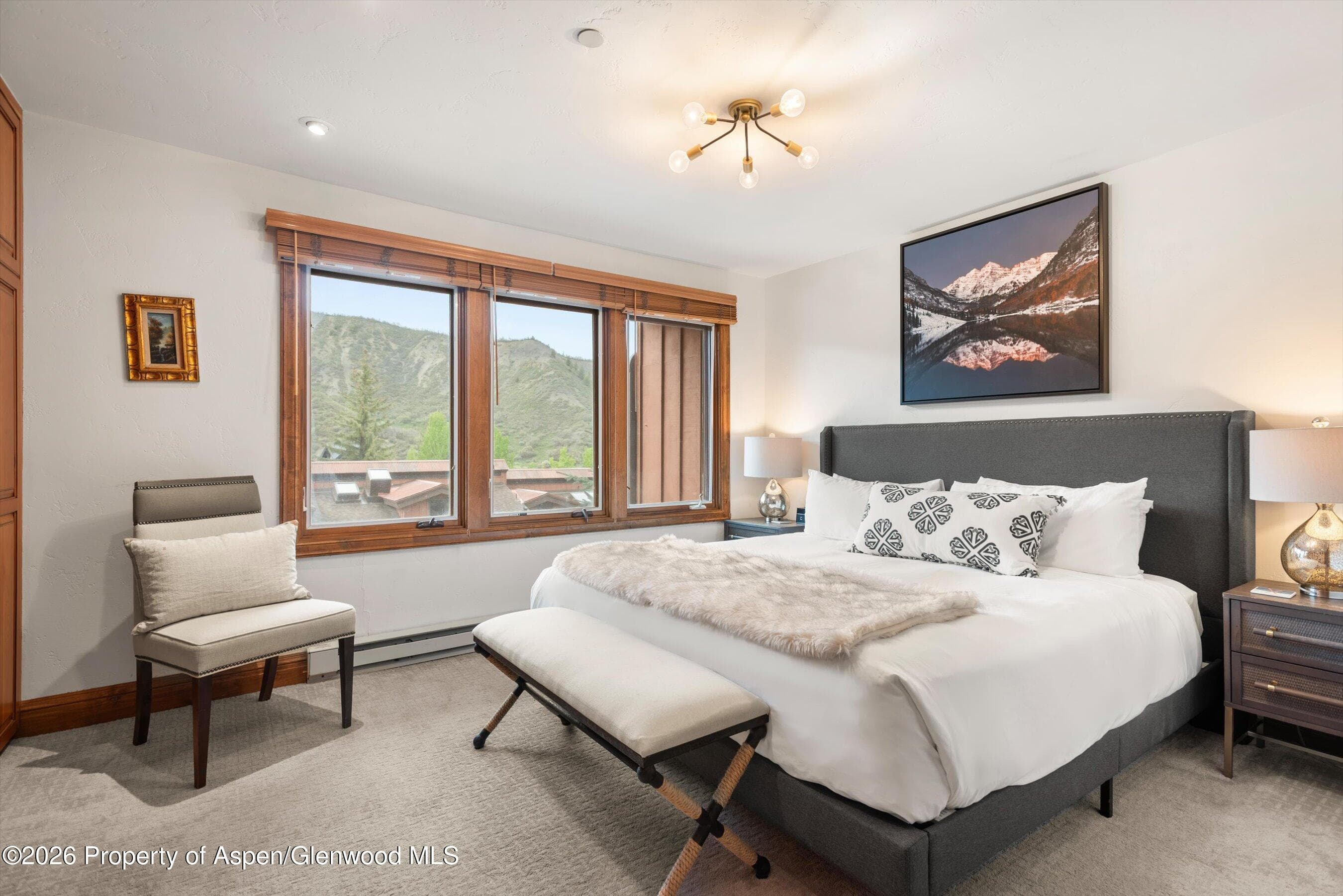 400 Wood Road E-2209, Snowmass Village, CO 81615 - Photo 19