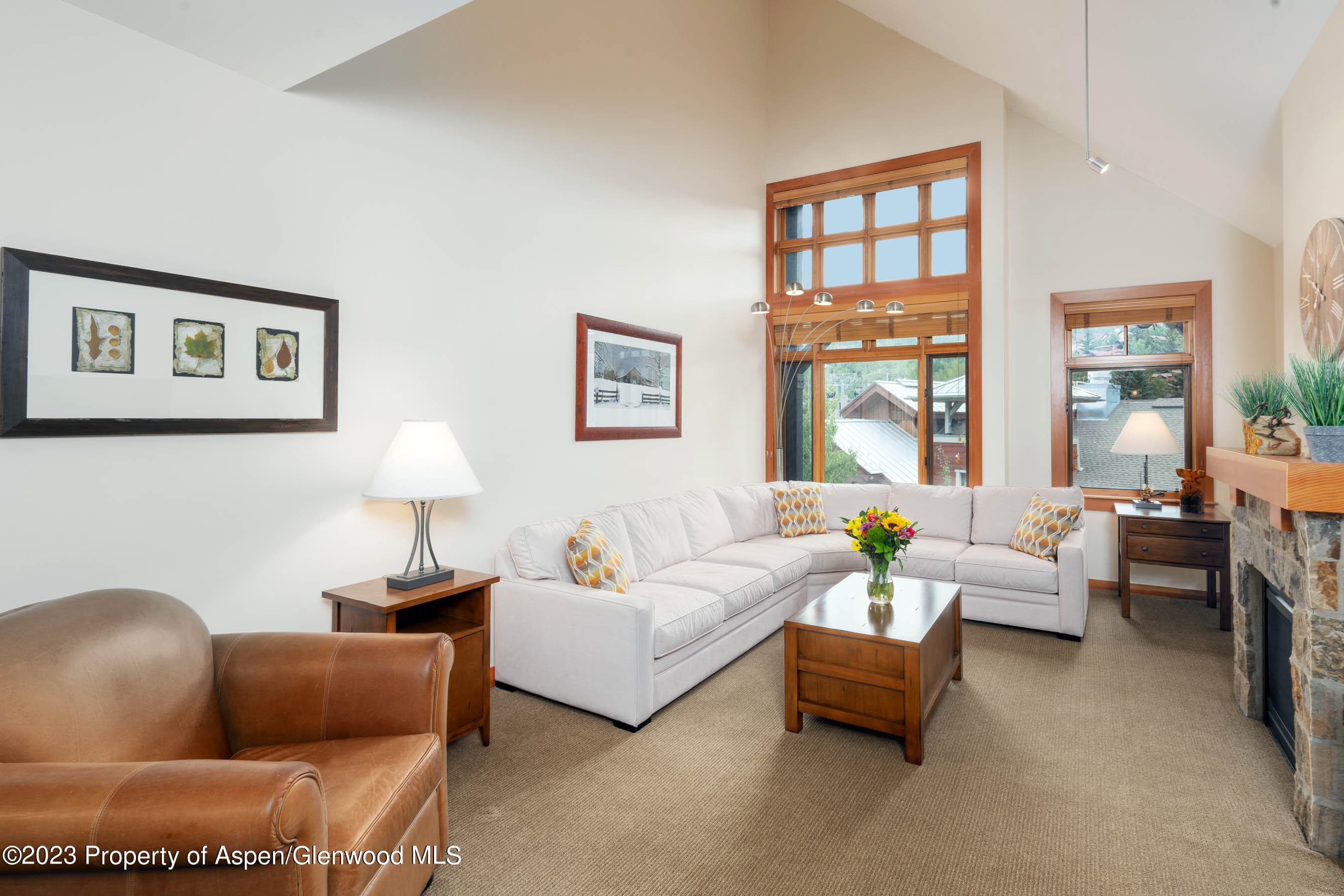 110 Carriage Way 3406, Snowmass Village, CO 81615 - Photo 2