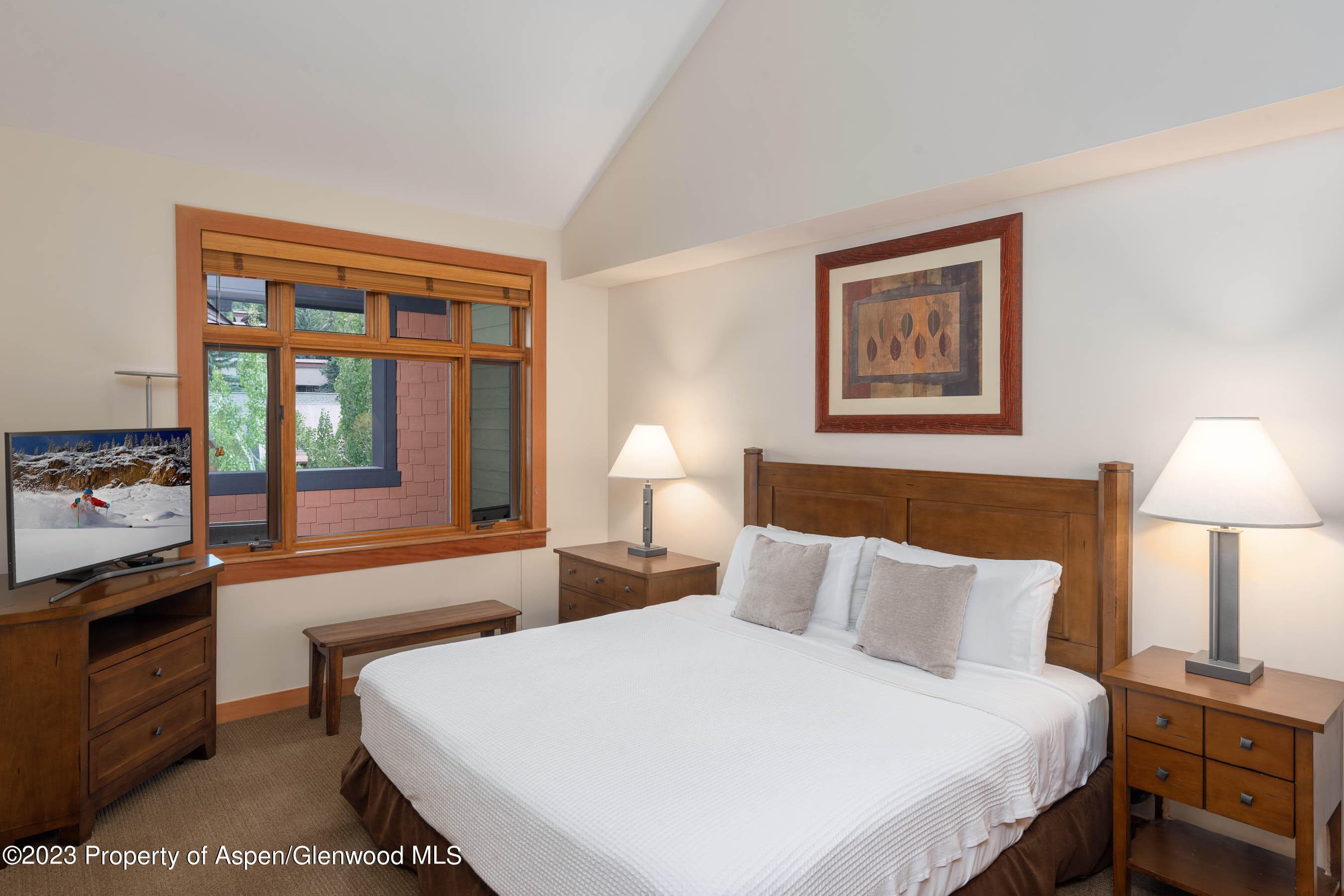 110 Carriage Way 3406, Snowmass Village, CO 81615 - Photo 7