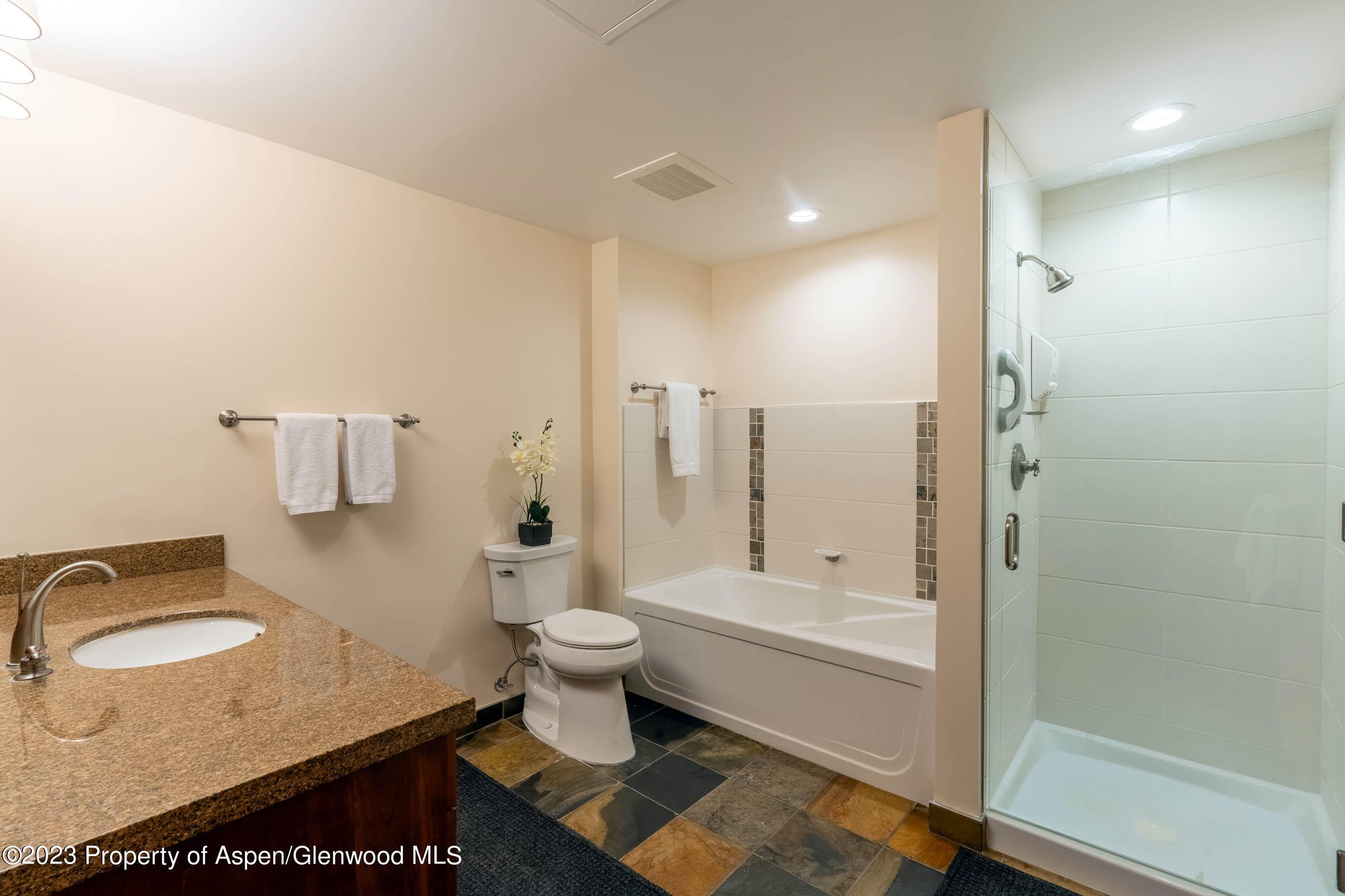 110 Carriage Way 3406, Snowmass Village, CO 81615 - Photo 8