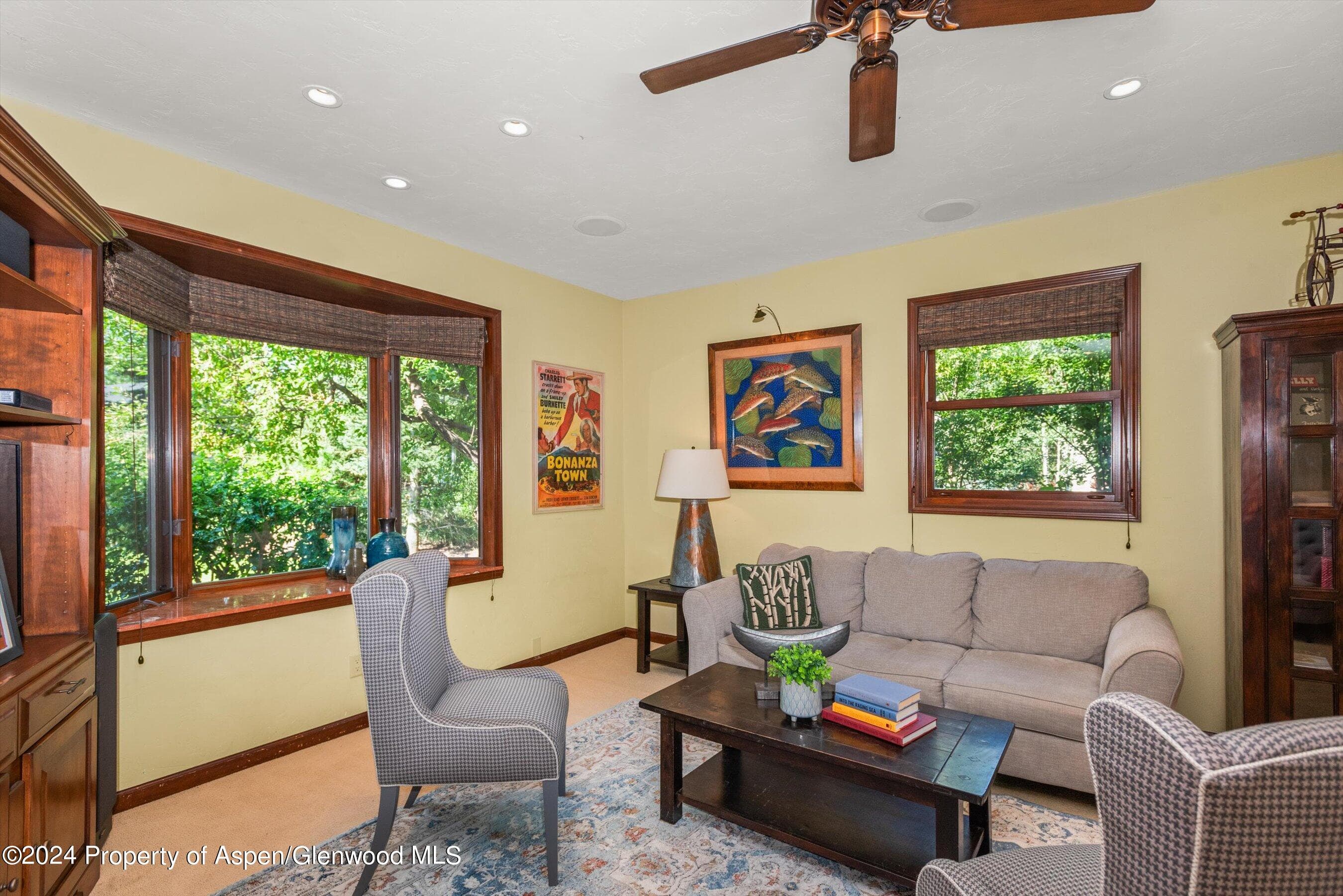 160 Pine Street, Carbondale, CO 81623 - Photo 23