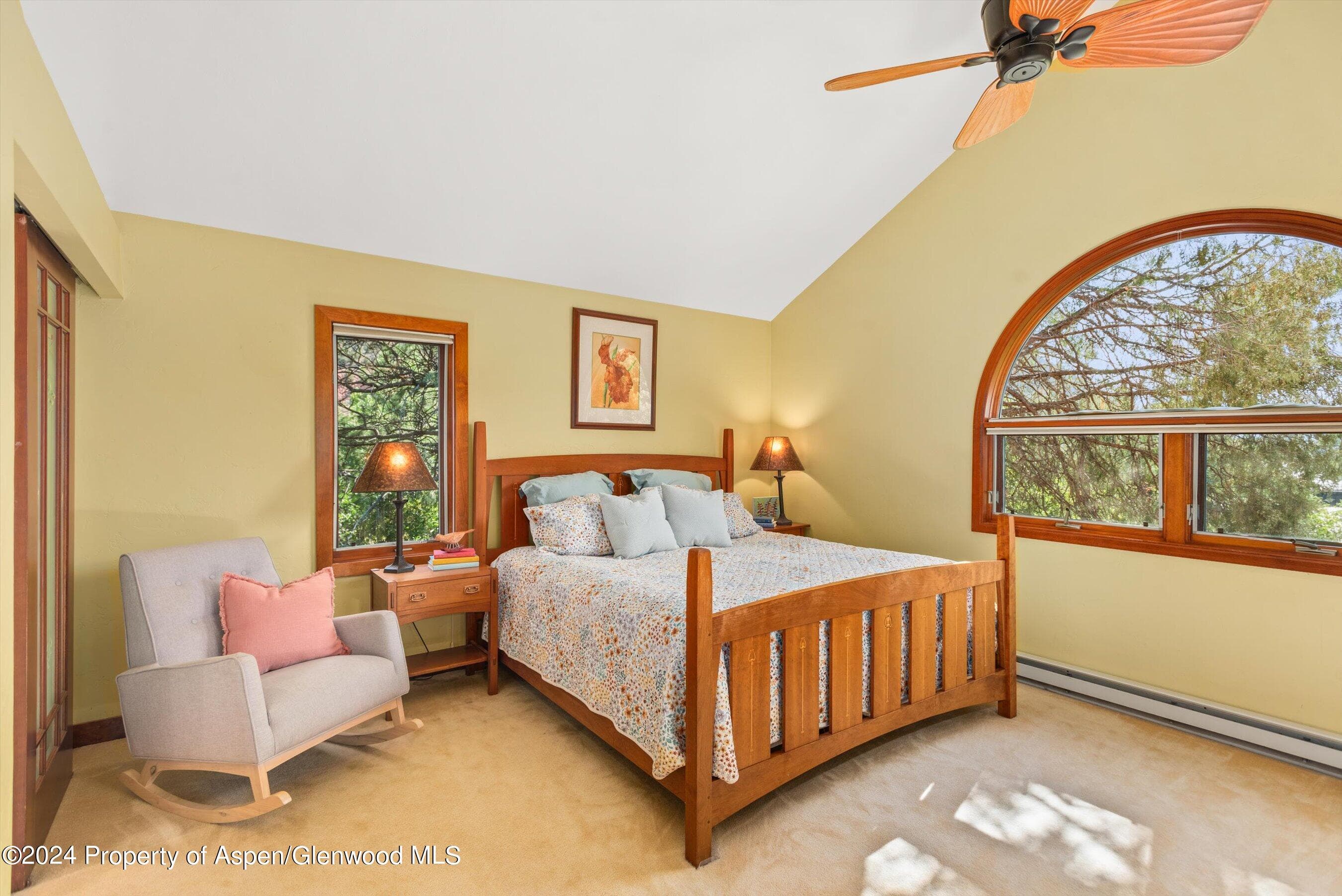 160 Pine Street, Carbondale, CO 81623 - Photo 25