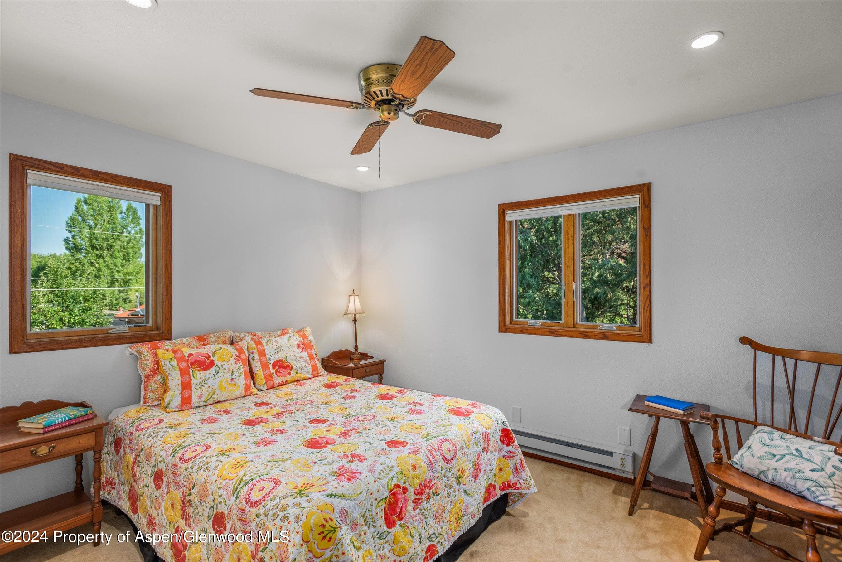 160 Pine Street, Carbondale, CO 81623 - Photo 30