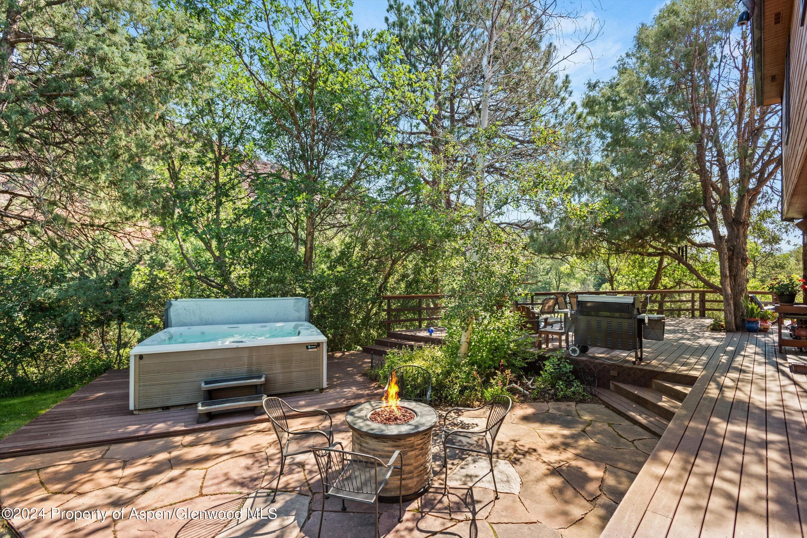 160 Pine Street, Carbondale, CO 81623 - Photo 33