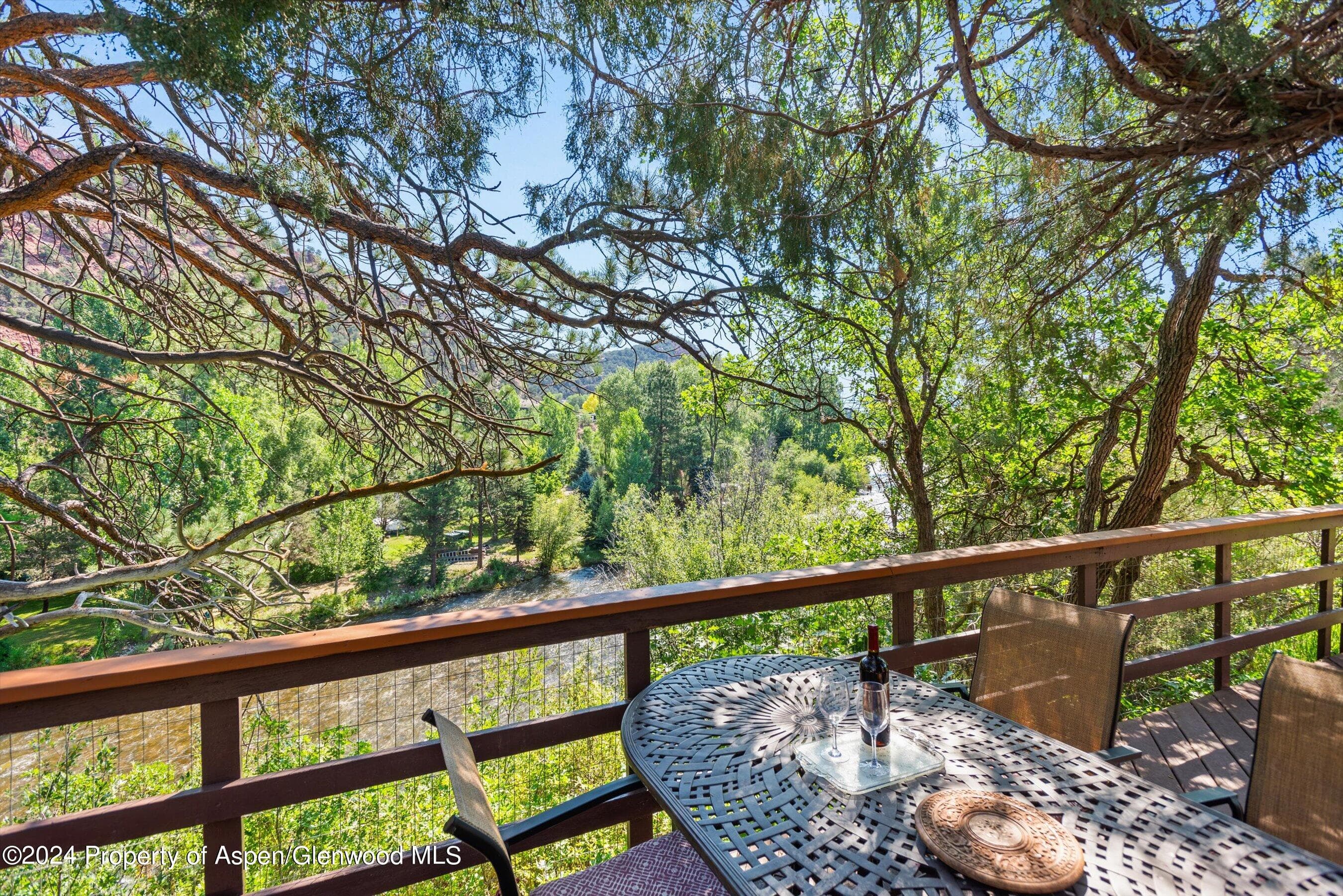160 Pine Street, Carbondale, CO 81623 - Photo 36