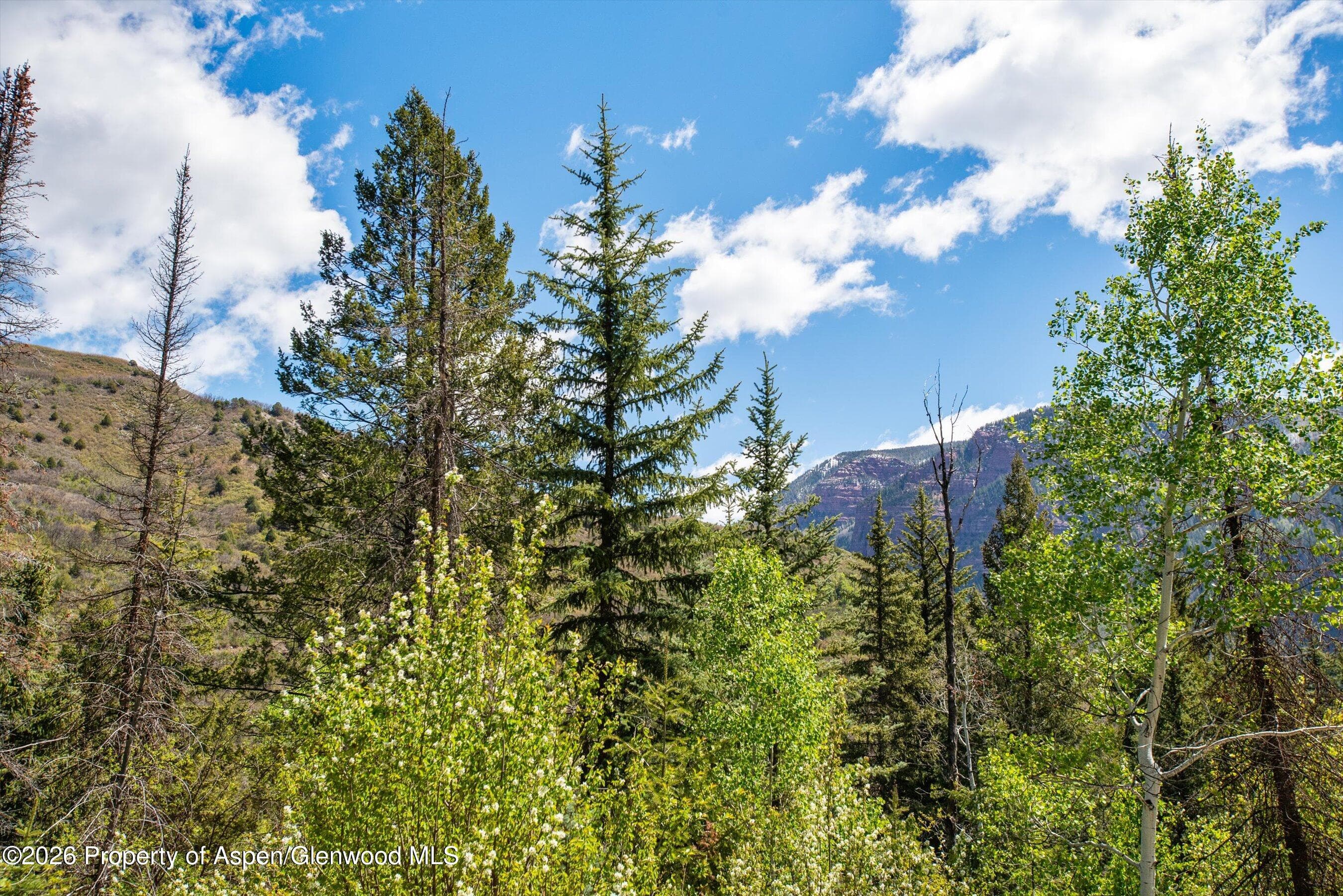 Tbd Coal Creek Road, Redstone, CO 81623 - Photo 3