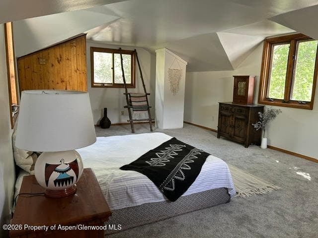 925 Palmer Avenue, Glenwood Springs, CO 81601 - Photo 12