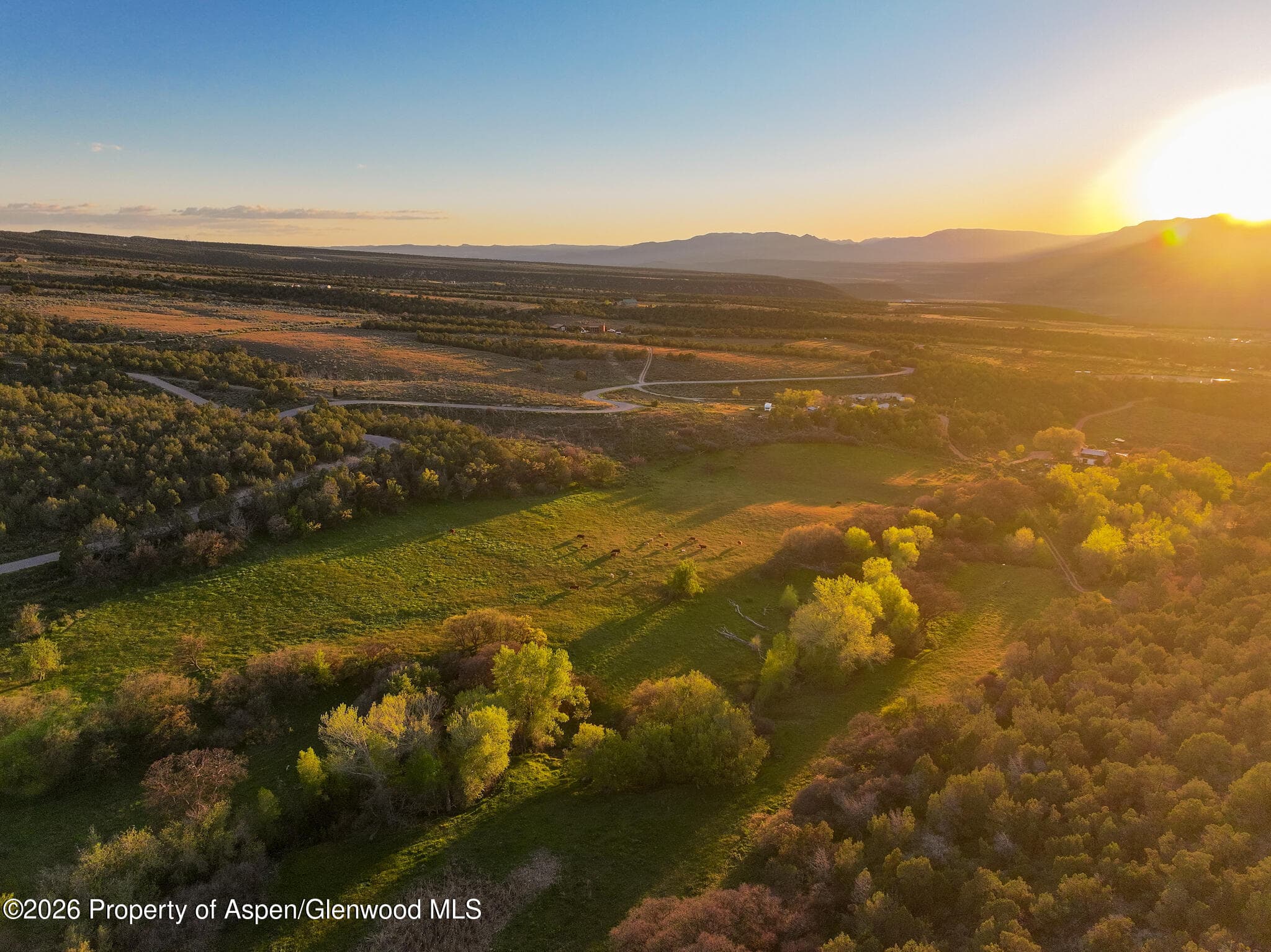 306 County Road, Parachute, CO 81635 - Photo 2
