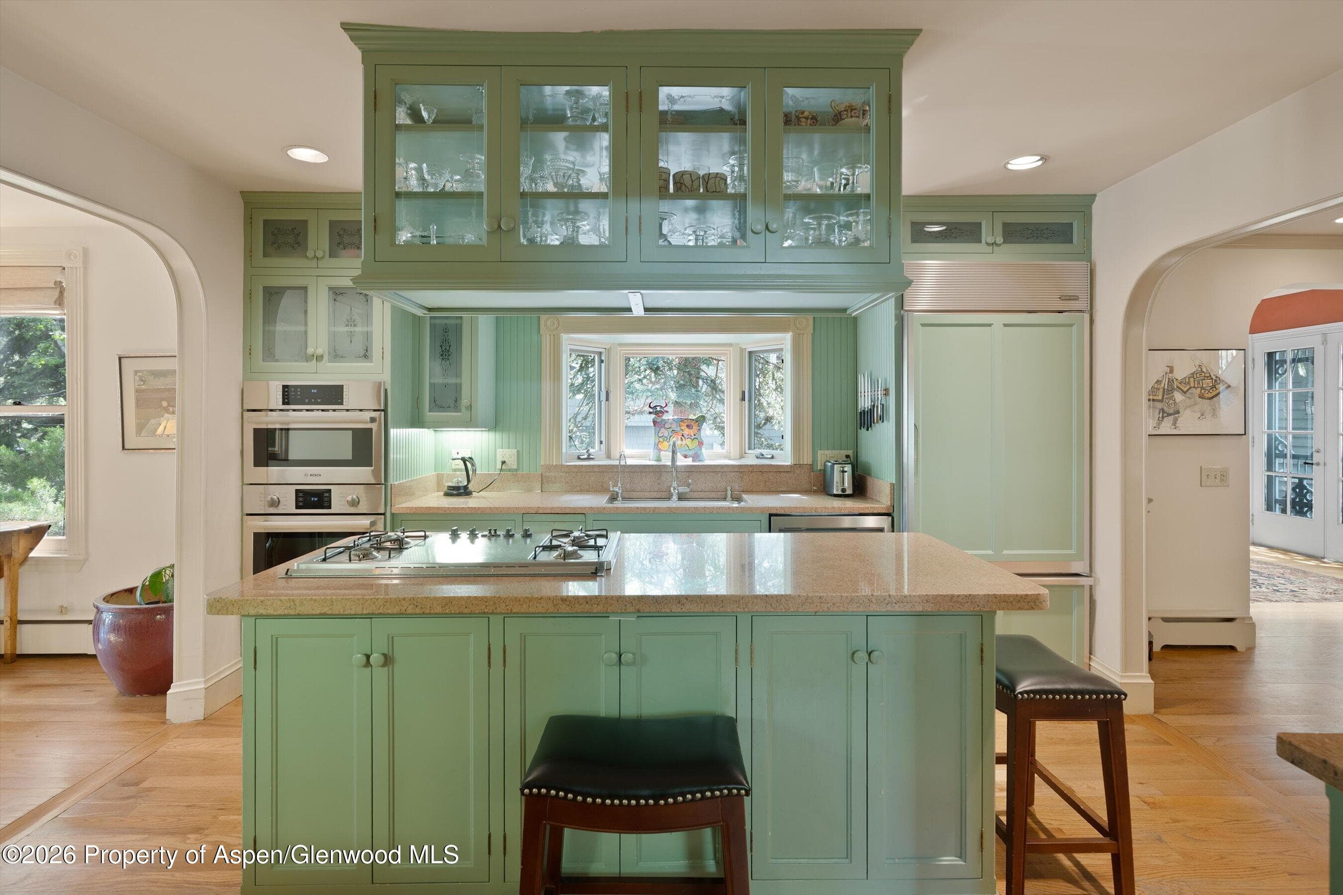 715 W Smuggler Street, Aspen, CO 81611 - Photo 9