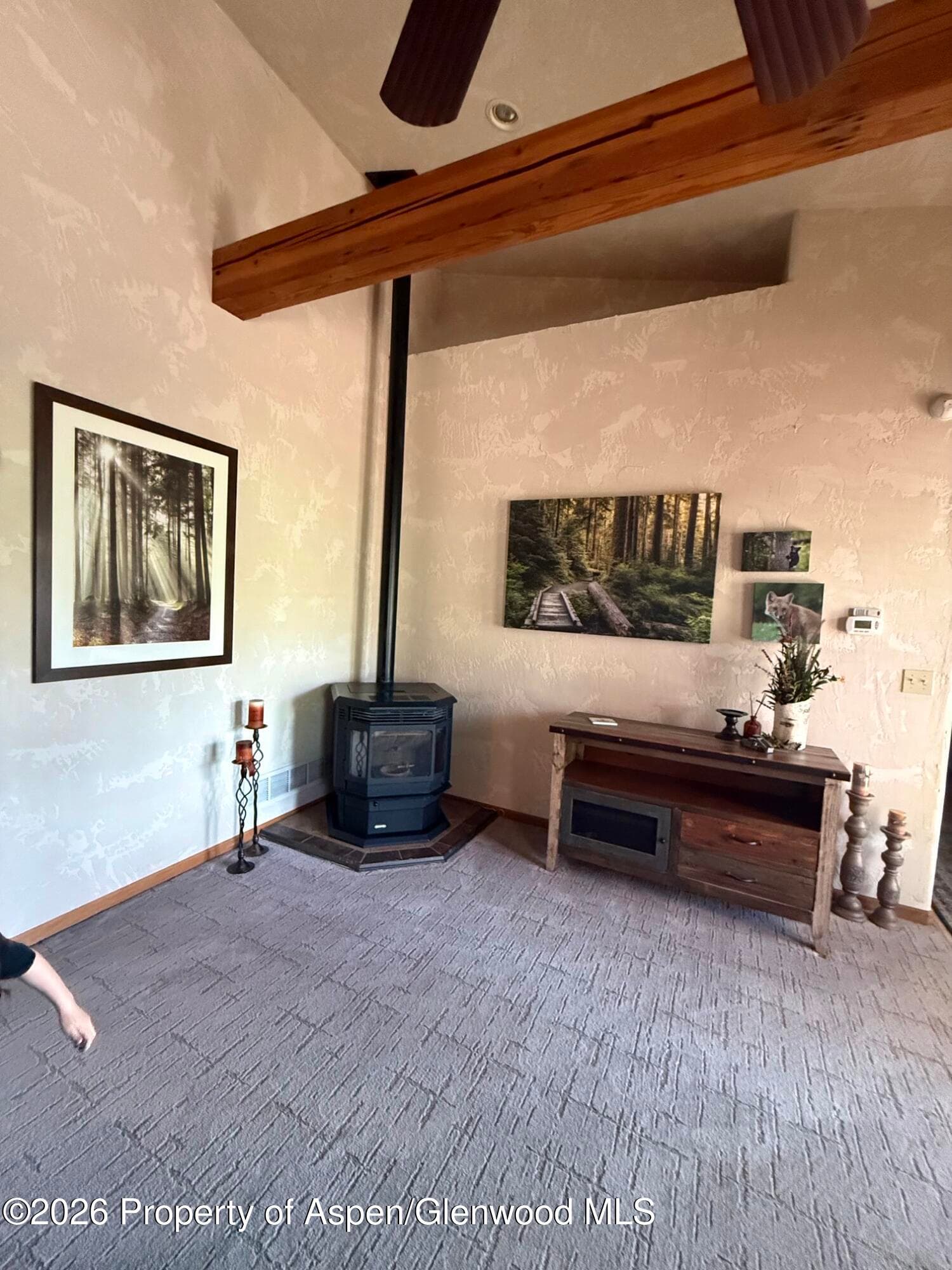 2898 County Road 233, Rifle, CO 81650 - Photo 16