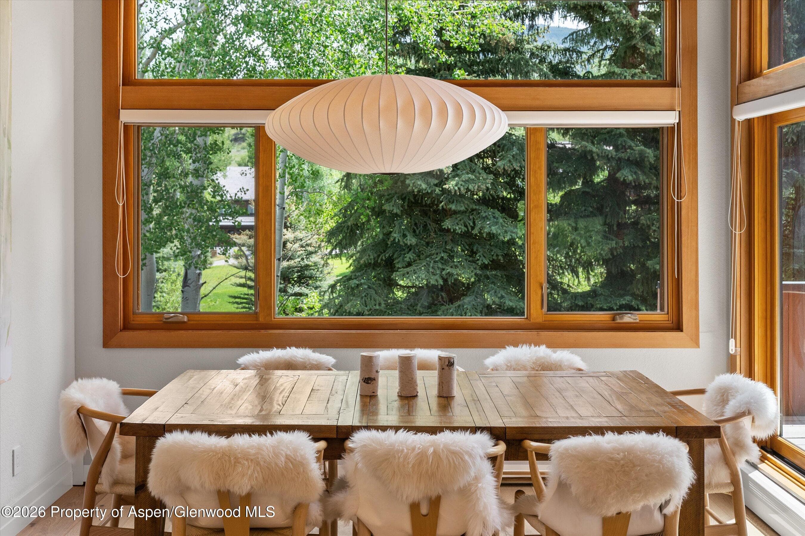42 Saint Andrews Court 67, Snowmass Village, CO 81615 - Photo 15