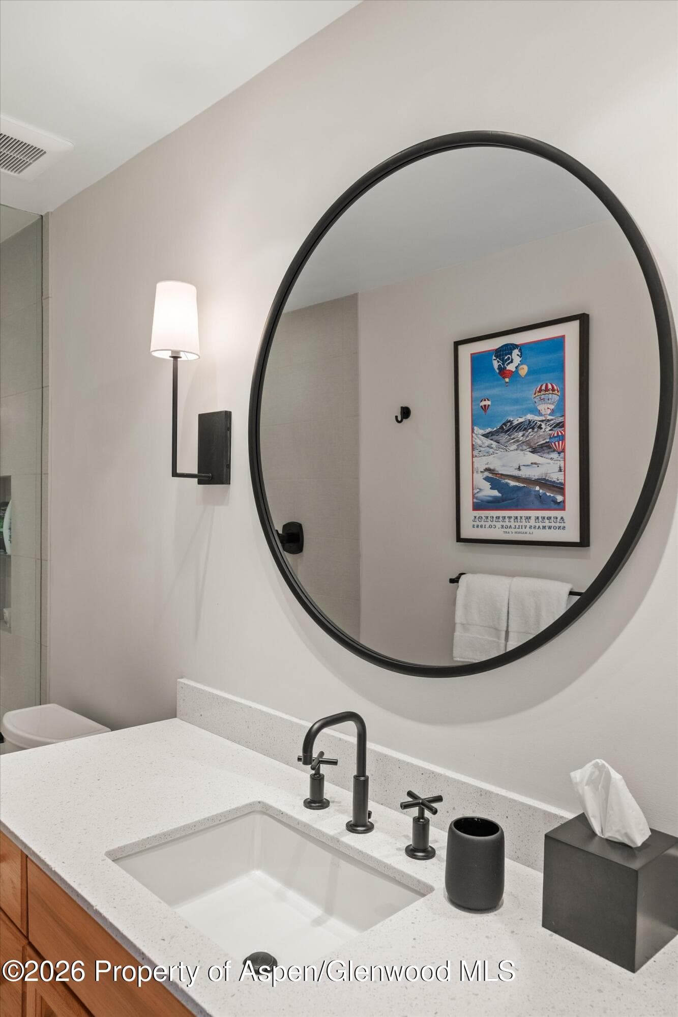 42 Saint Andrews Court 67, Snowmass Village, CO 81615 - Photo 39
