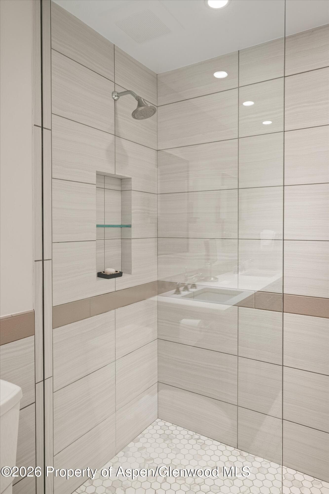 42 Saint Andrews Court 67, Snowmass Village, CO 81615 - Photo 30
