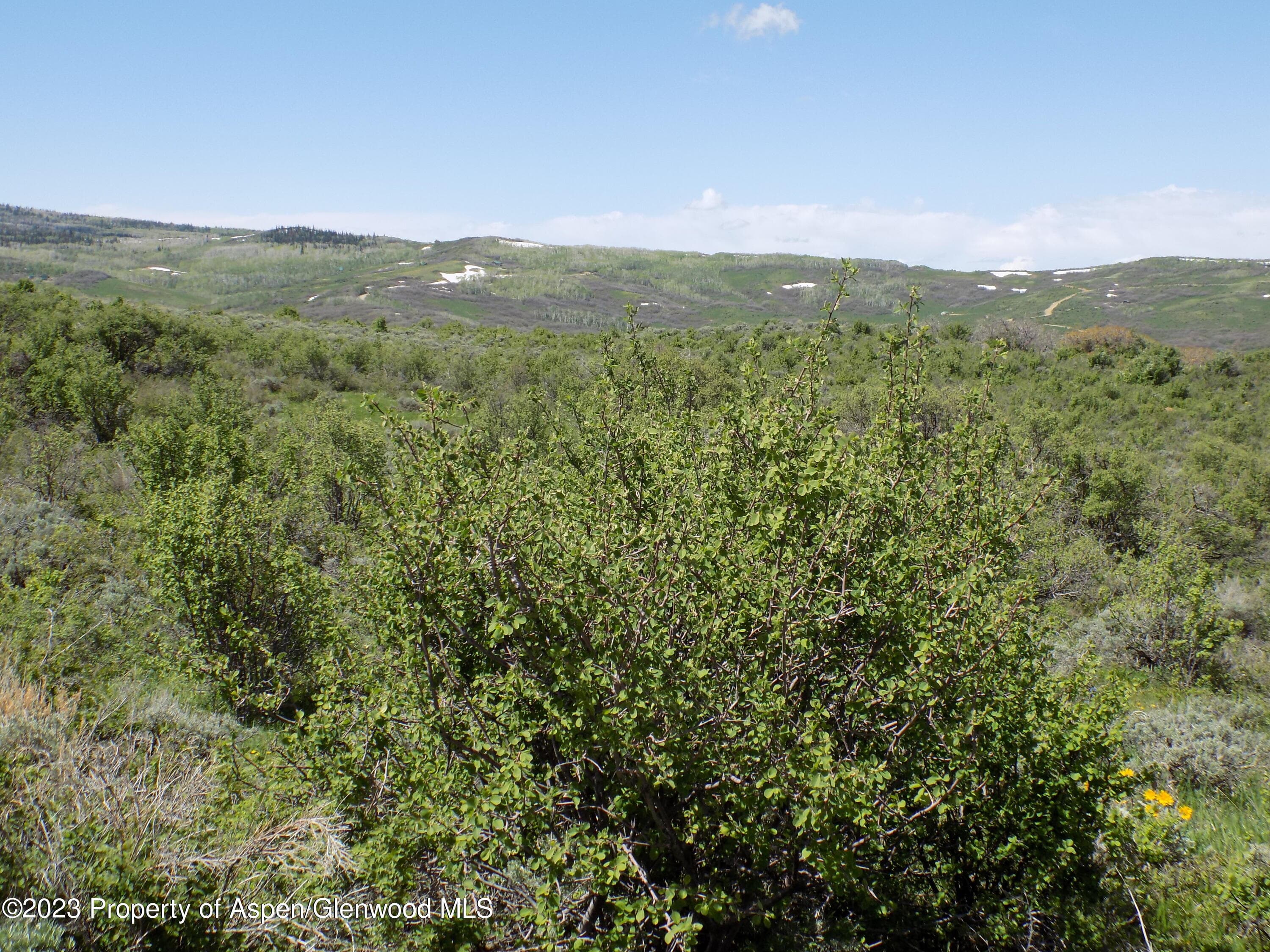 1832 Eagle Loop, Craig, CO 81625 - Photo 6