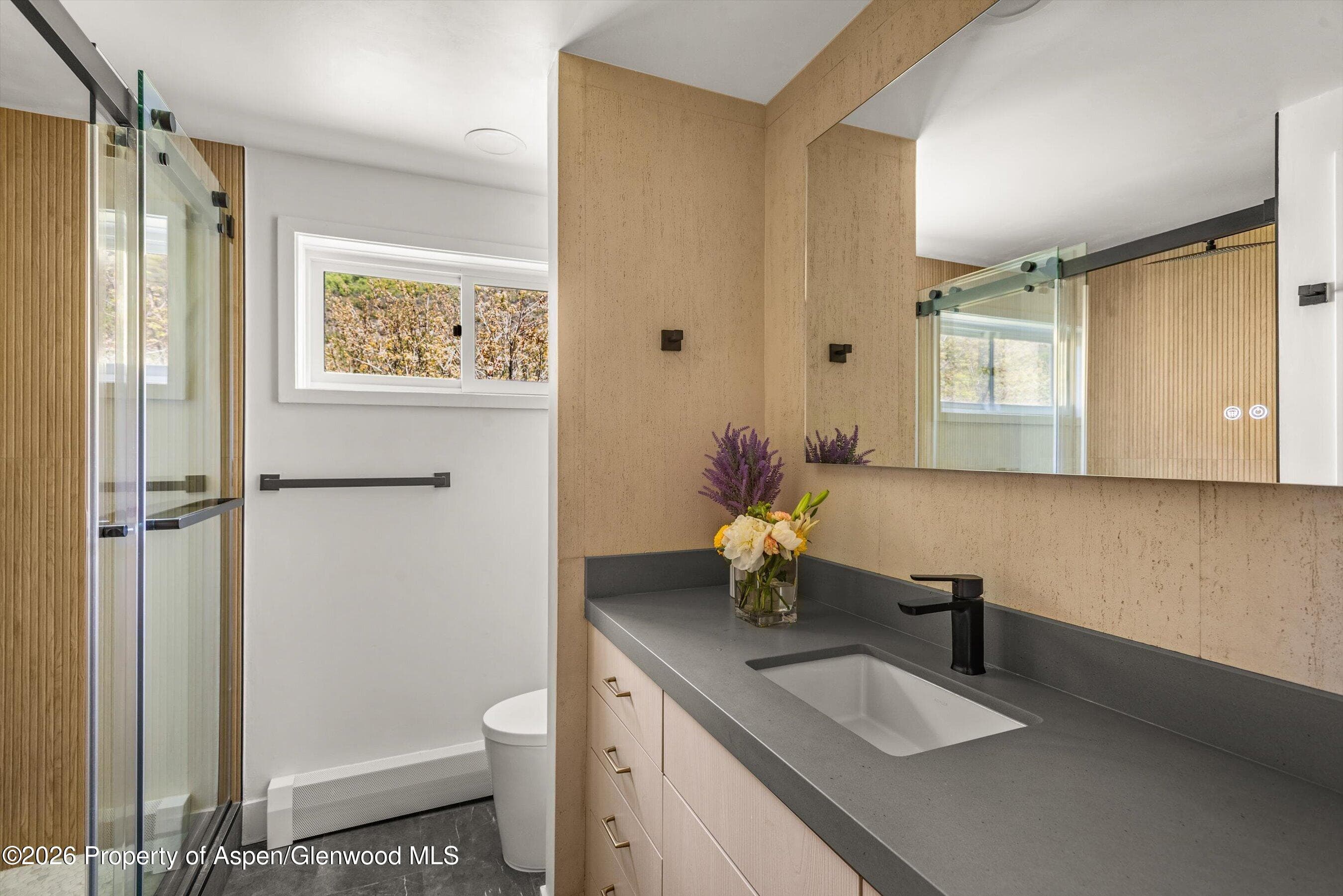 75 Bennett Court, Aspen, CO 81611 - Photo 18