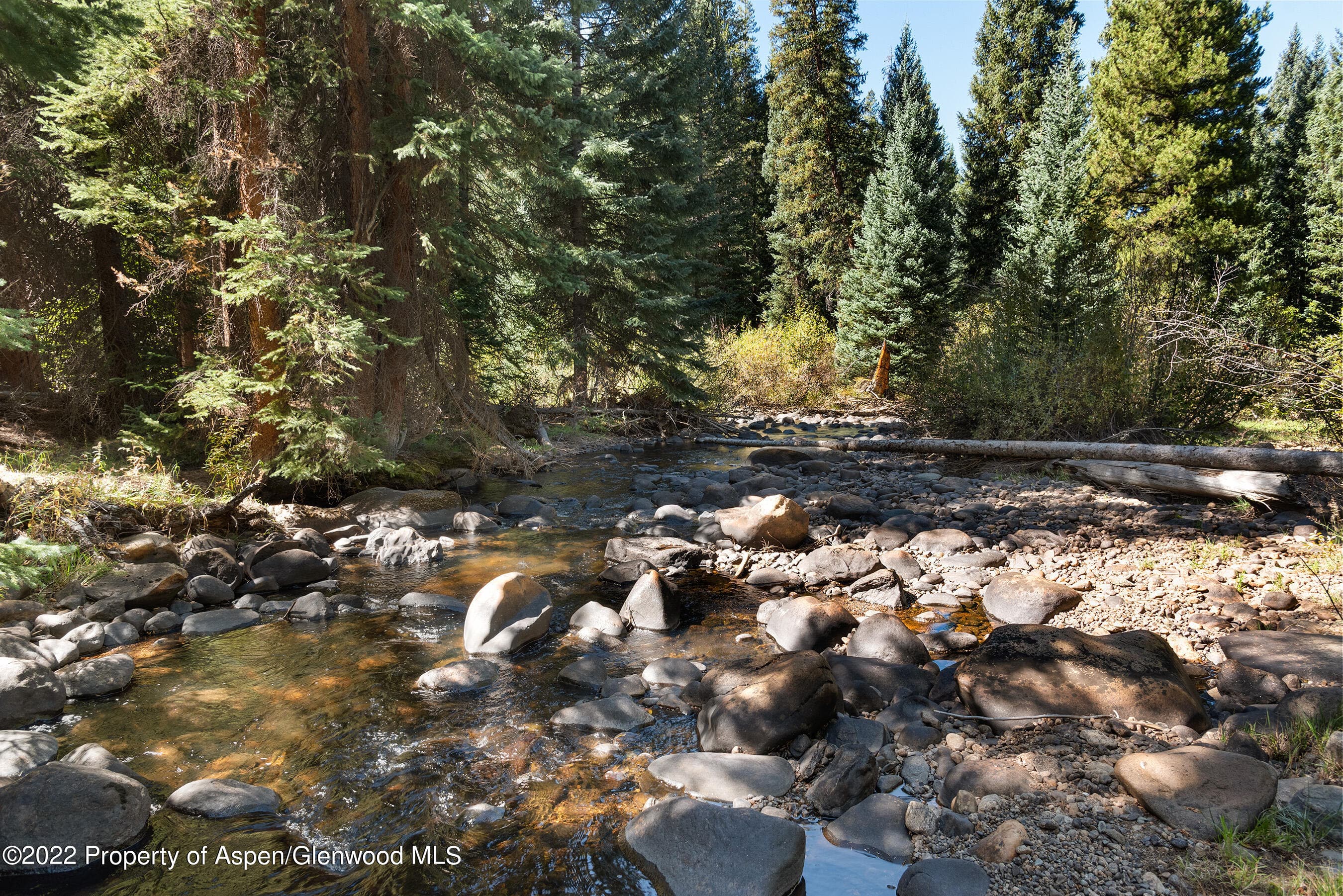 2450 North Fork Road, Meredith, CO 81642 - Photo 30