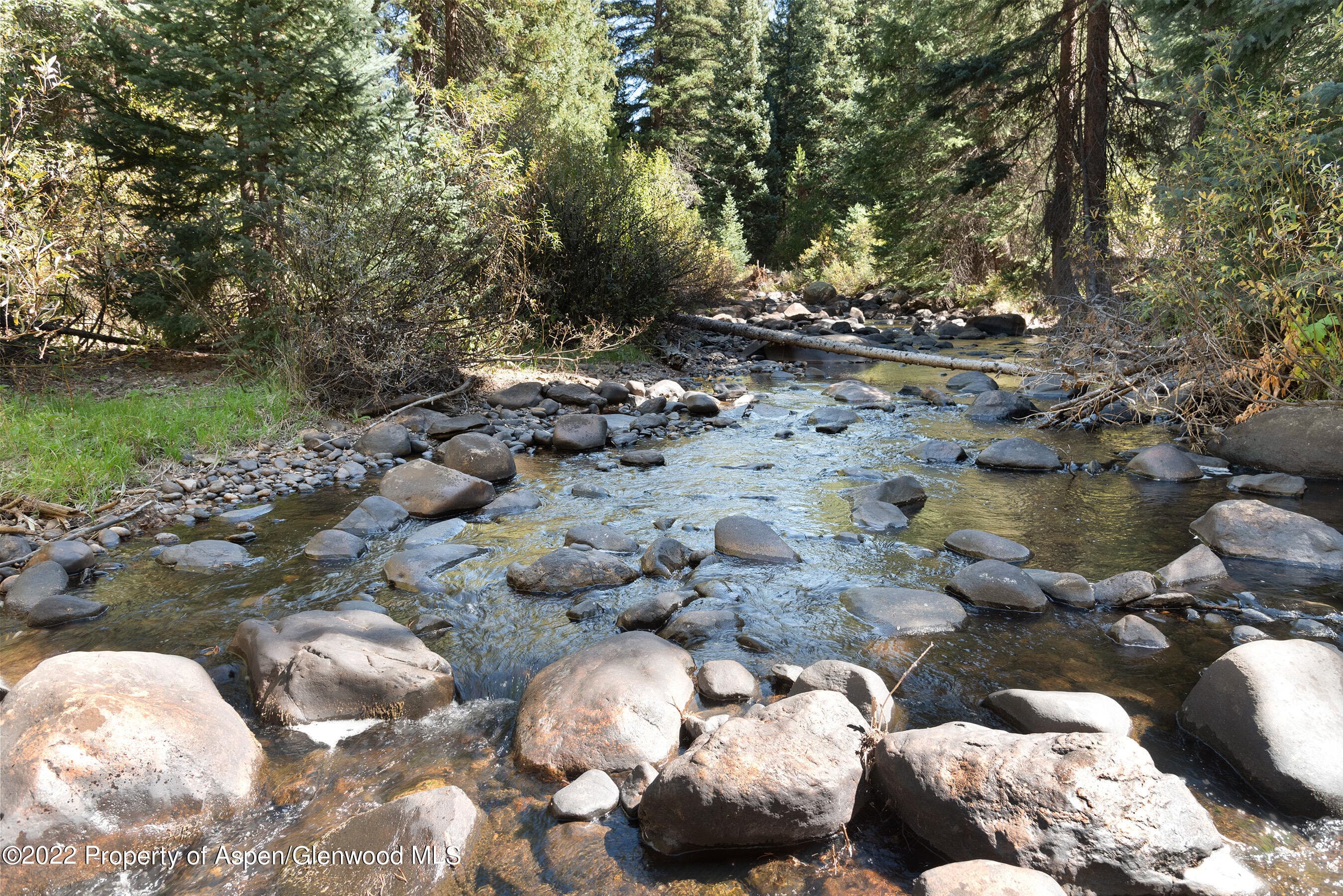 2450 North Fork Road, Meredith, CO 81642 - Photo 31