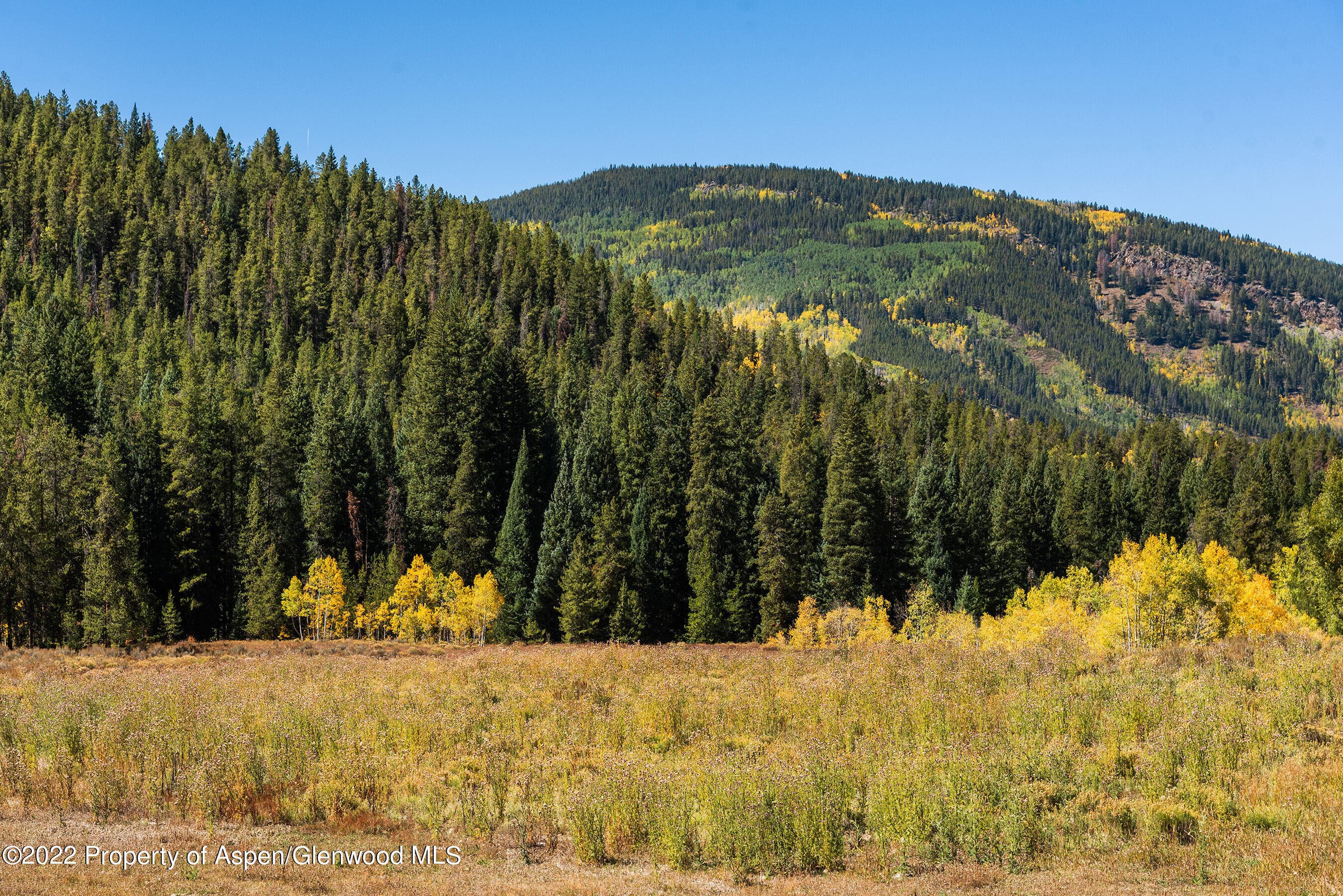 2450 North Fork Road, Meredith, CO 81642 - Photo 33