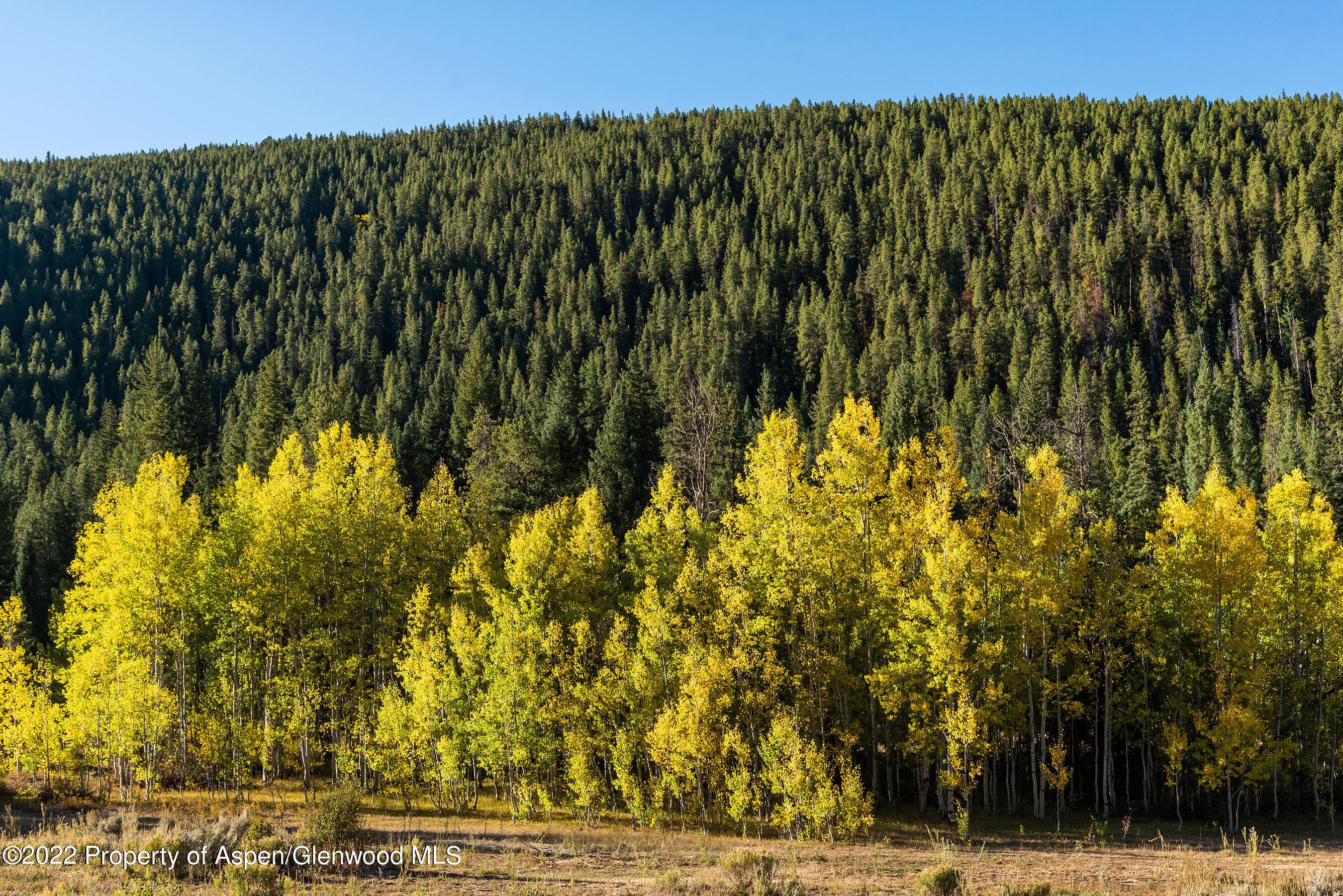 2450 North Fork Road, Meredith, CO 81642 - Photo 34