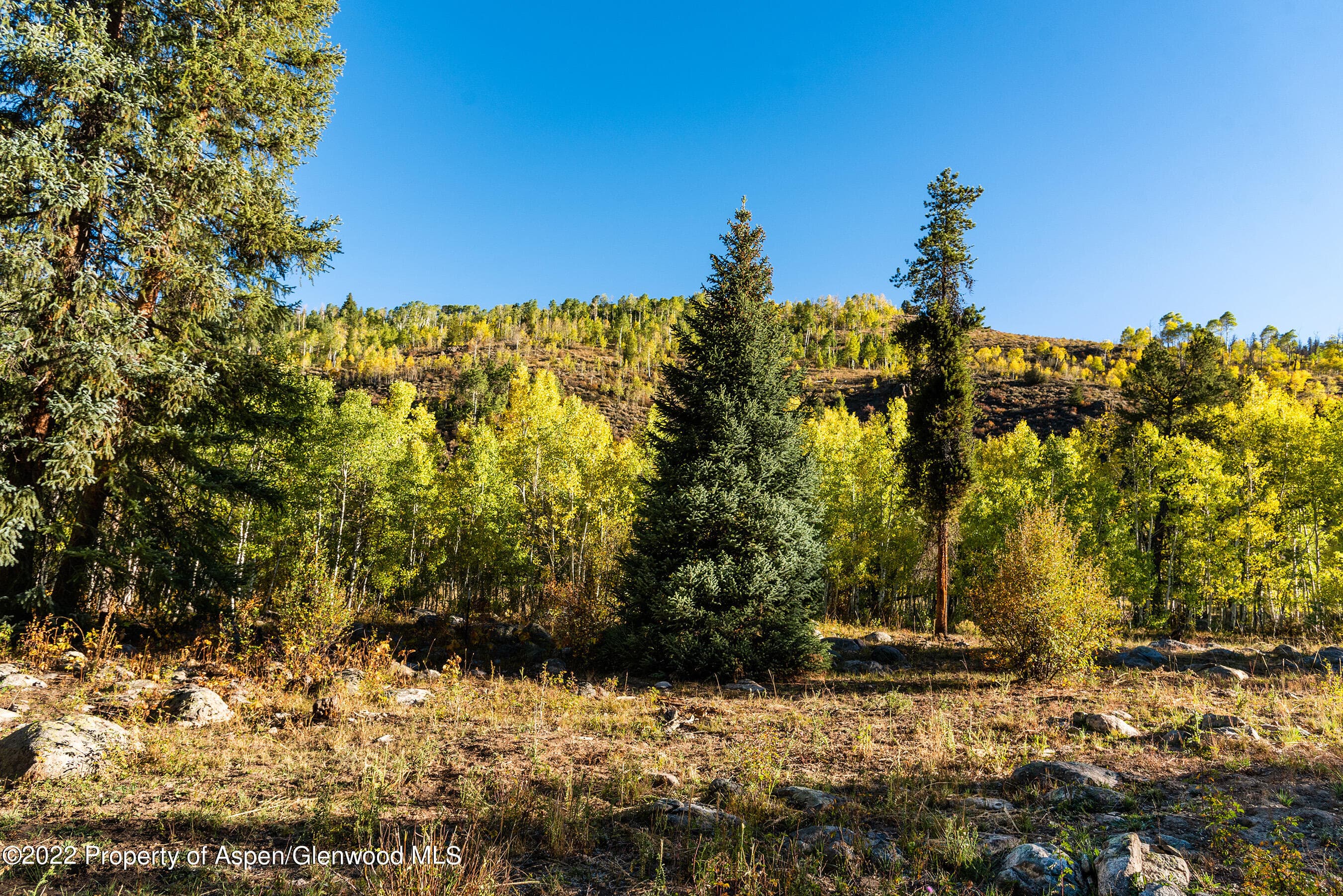 2450 North Fork Road, Meredith, CO 81642 - Photo 35