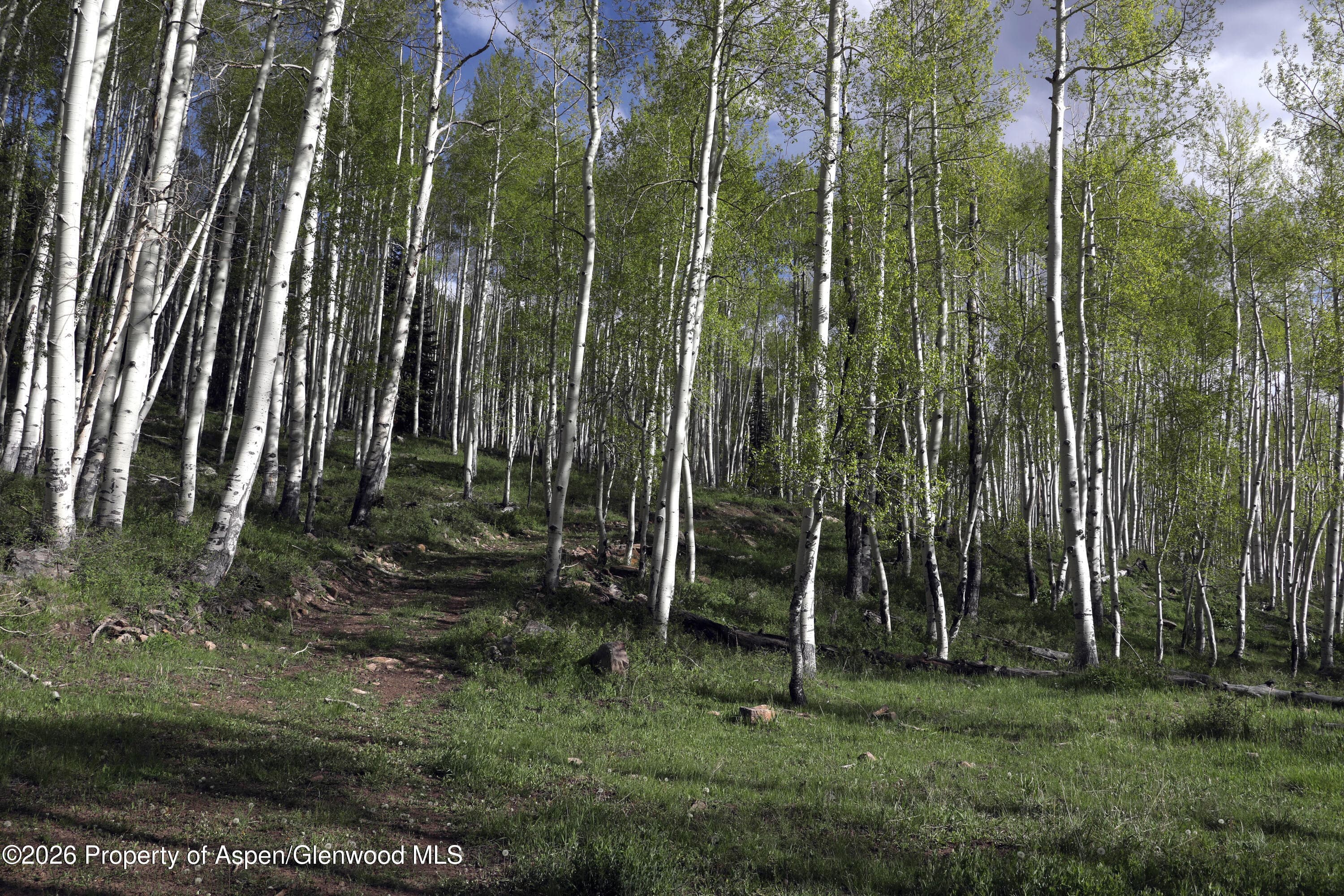 Tbd Ms Road, Glade Park, CO 81523 - Photo 3