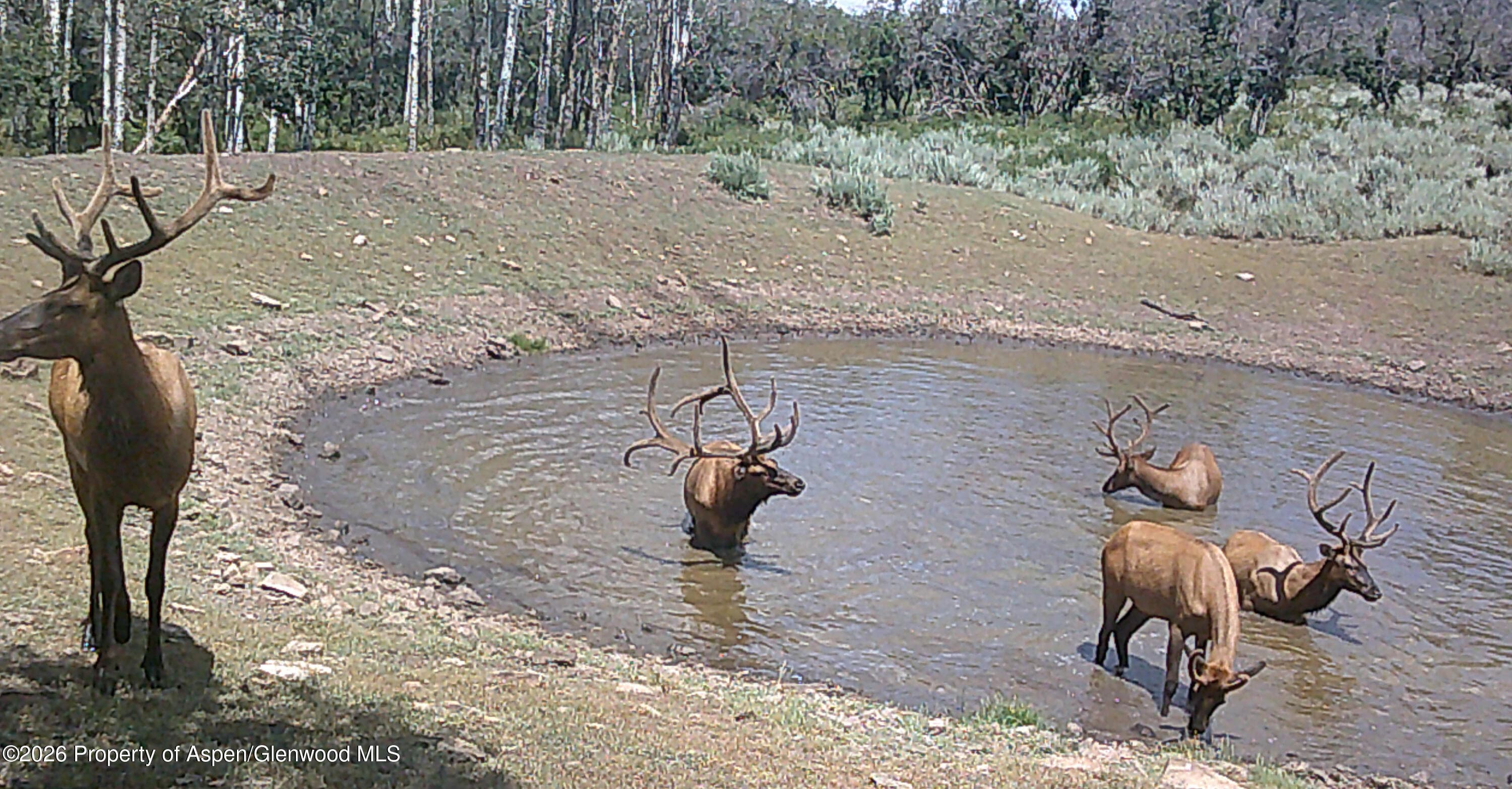 Tbd Ms Road, Glade Park, CO 81523 - Photo 18