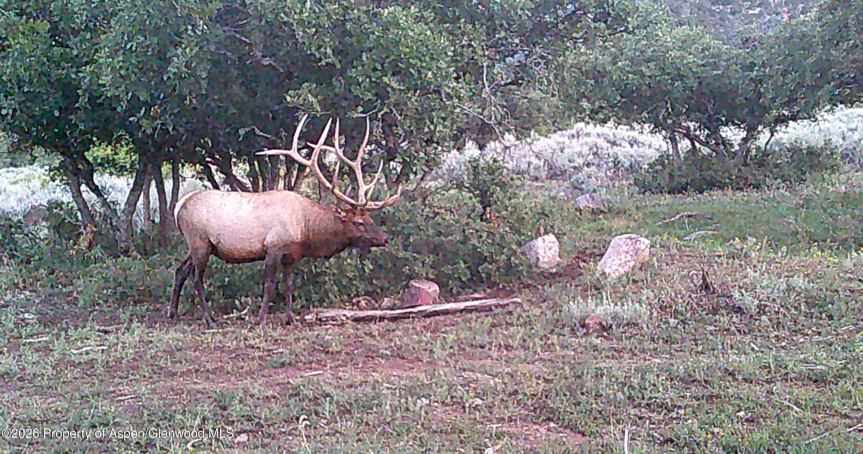 Tbd Ms Road, Glade Park, CO 81523 - Photo 20