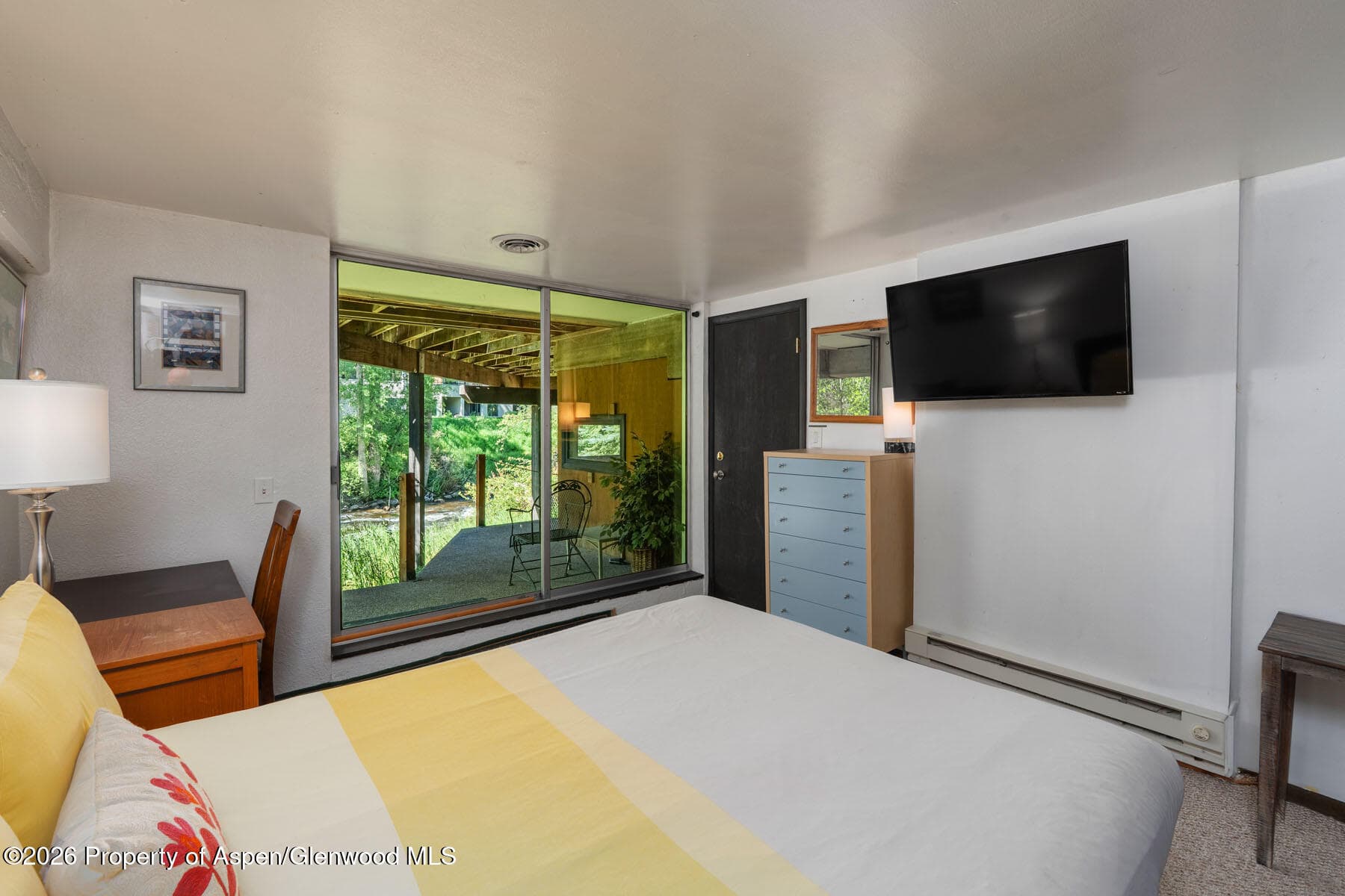 979 Queen Street, Aspen, CO 81611 - Photo 19