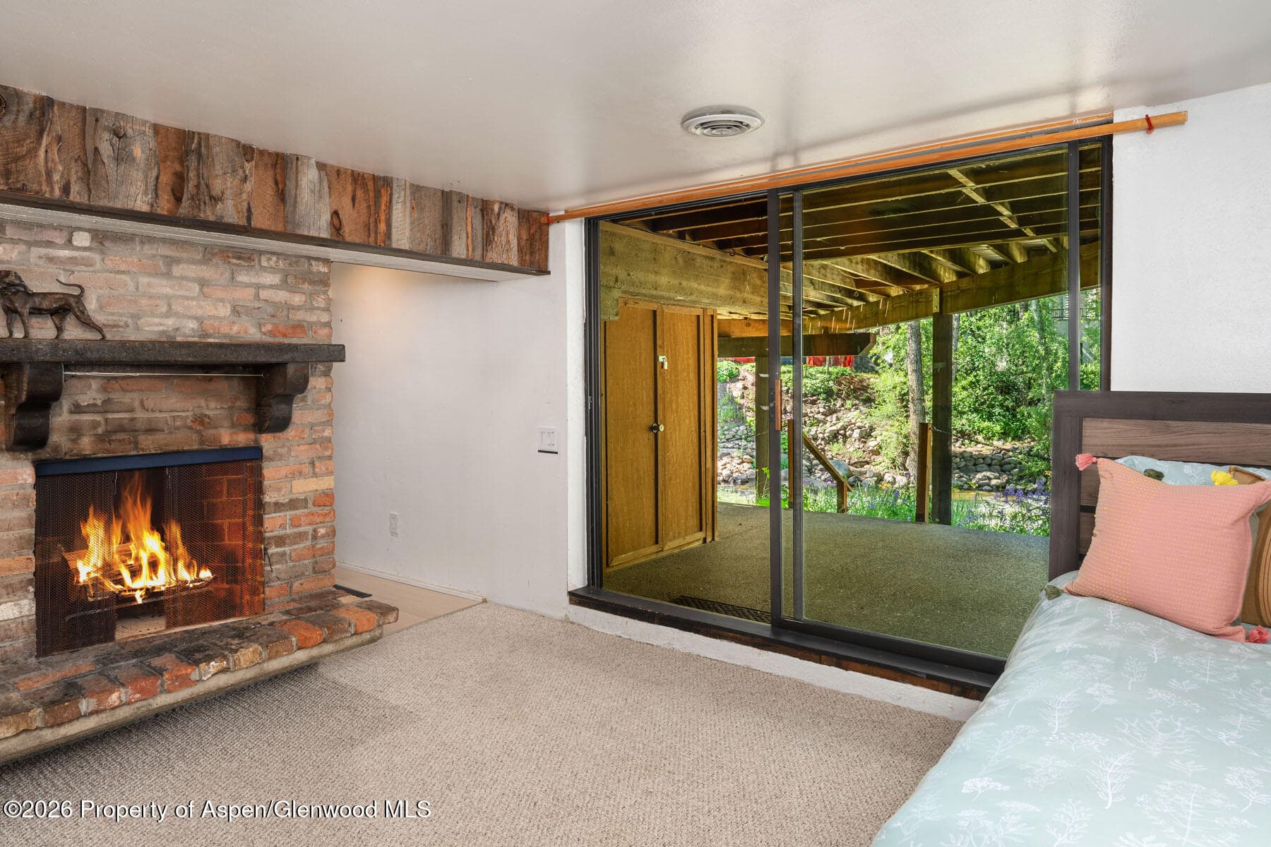 979 Queen Street, Aspen, CO 81611 - Photo 22