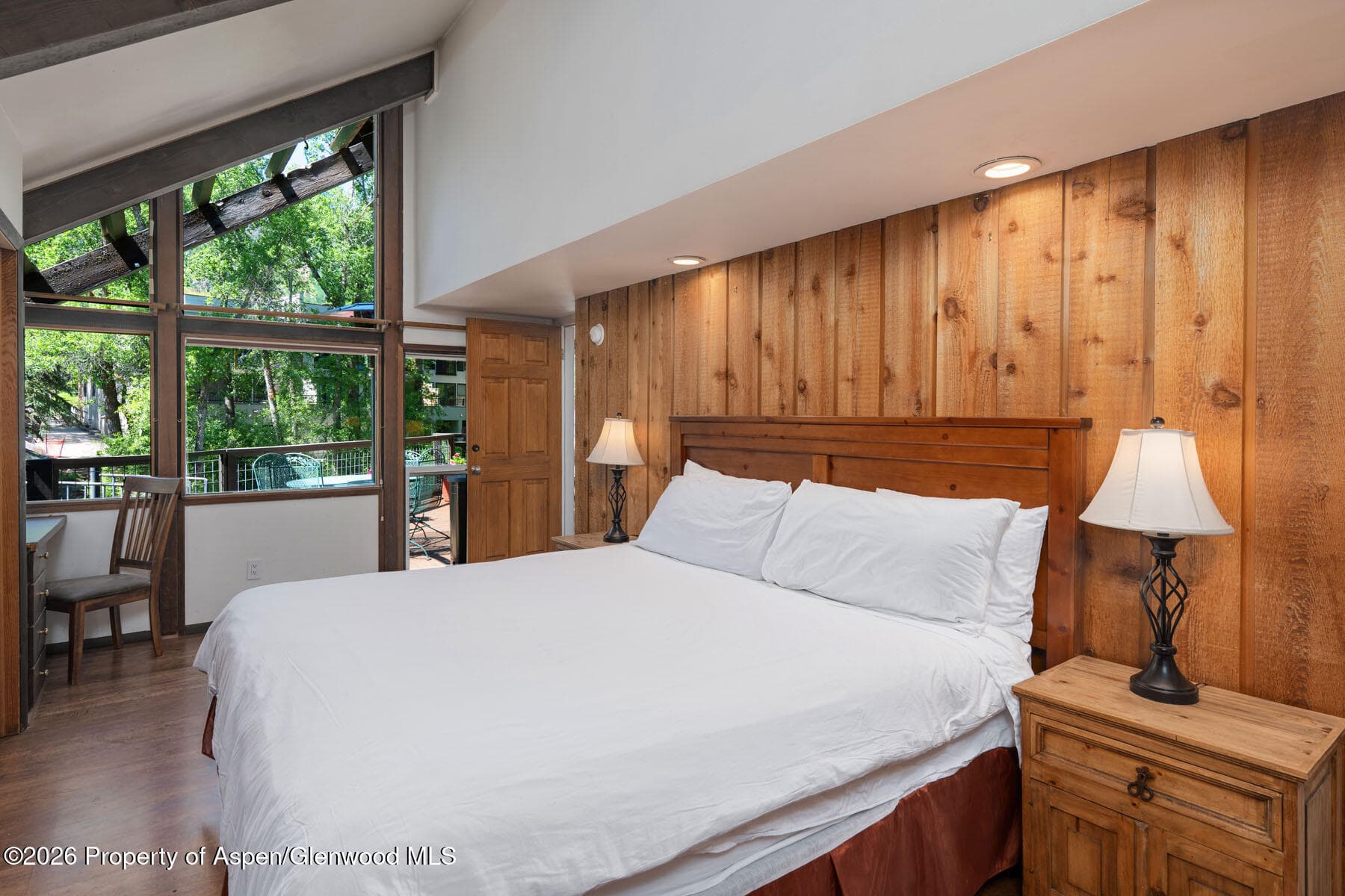 979 Queen Street, Aspen, CO 81611 - Photo 12