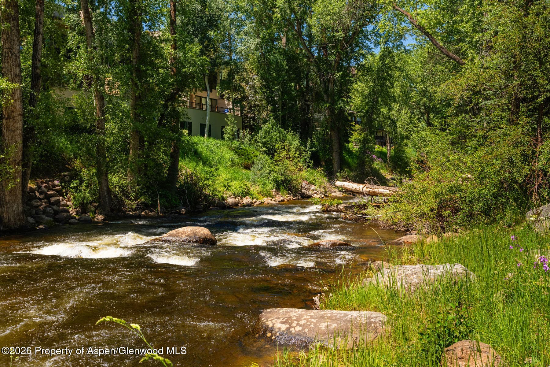 979 Queen Street, Aspen, CO 81611 - Photo 27